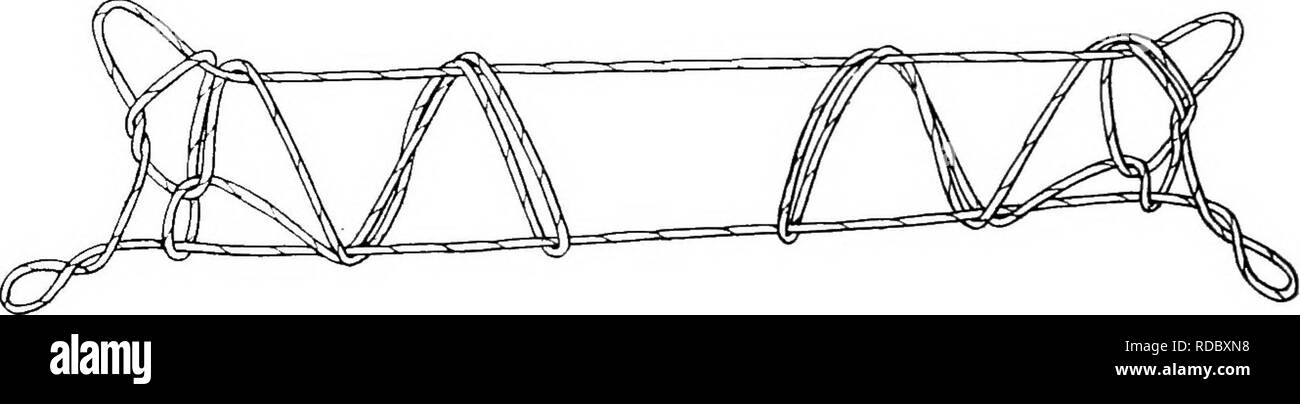 . Bericht der Kanadischen Arktis Expedition 1913-18. Wissenschaftliche Expeditionen. 44 b der Kanadischen Arktis Expedition, 1913-18 zwei Geister der See Position 1. Mit der Handfläche der rechten Mittelfinger, nehmen Sie den gegenüberliegenden Palmar string und zurück. Mit der Handfläche der linken Mittelfinger similariy nehmen die richtige Palmar string, kurz bevor er führt hinter dem kleinen Finger. Übergeben Sie die Indizes nach unten auf dem proximalen Seite der Mittelfinger und radiale kleinen Finger Streicher und mit ihren Palmen nehmen Die ulnare kleinen Finger Streichern. Wie in der Single "Geist der See weiter, "Nur executi Stockfoto