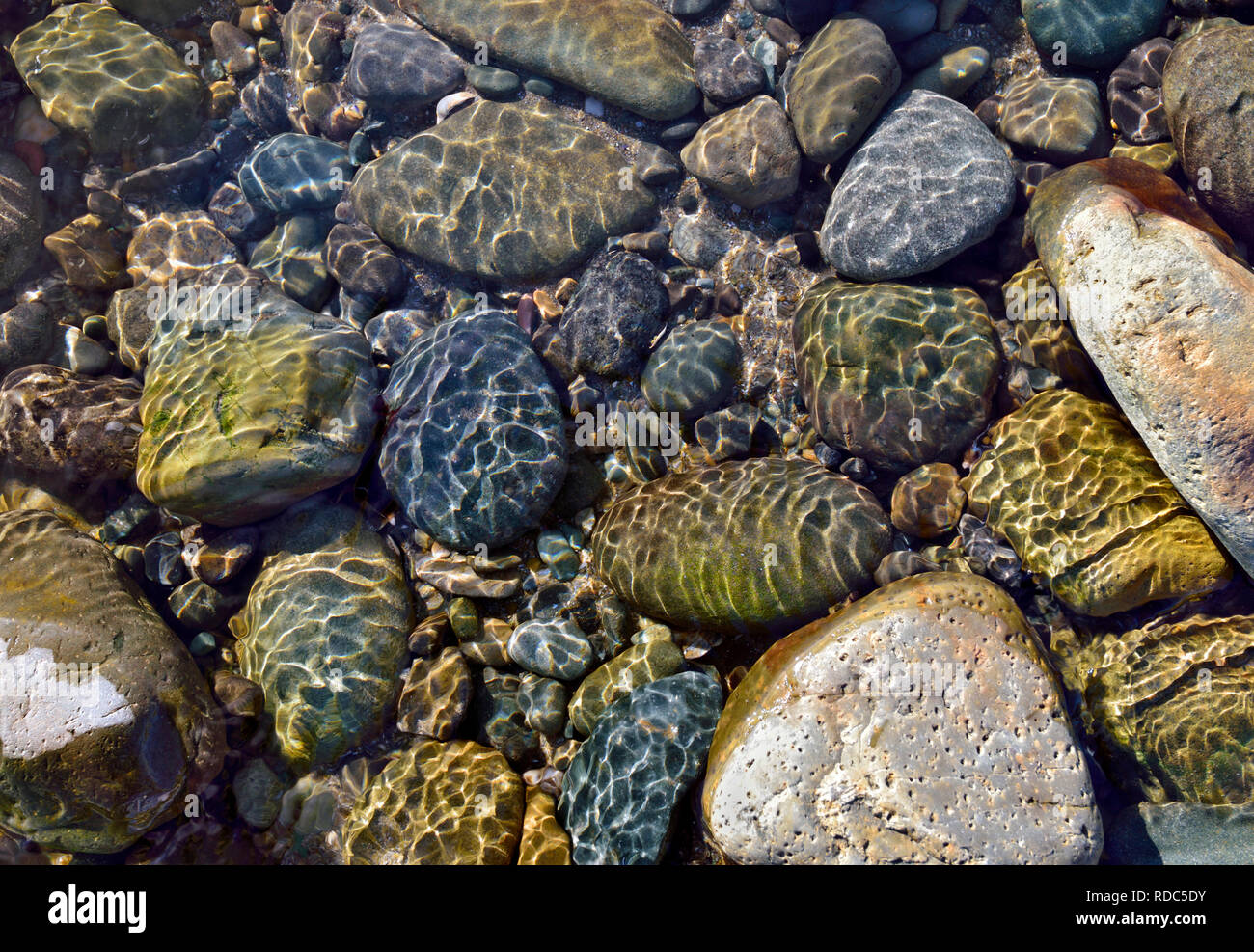 Eine Nahaufnahme von untergetauchten Felsen in einem Rock Pool am Strand Tywyn, Wales. Stockfoto