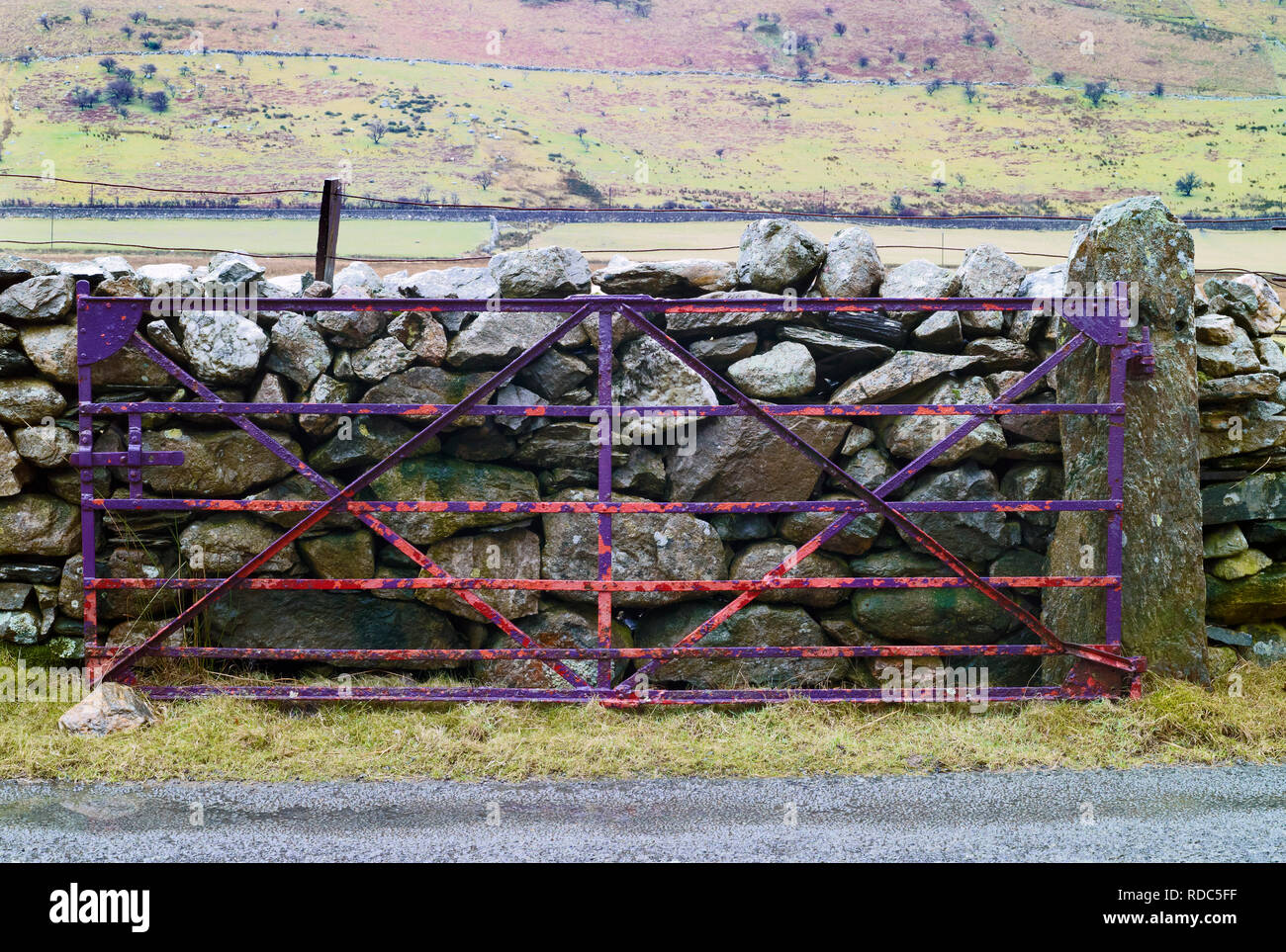 Eine bunt bemalte farm Gate in Snowdonia, Wales. Stockfoto