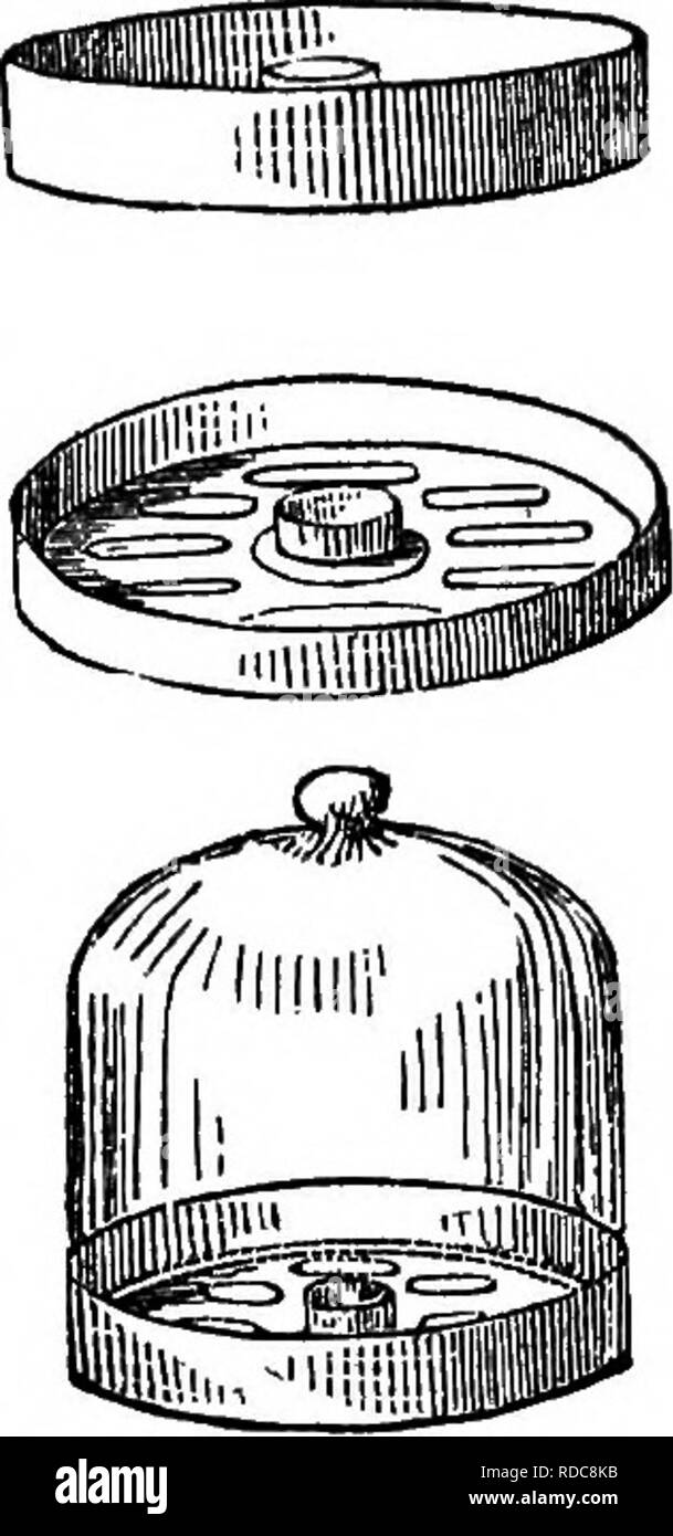 . Die Struktur und die Honig-Biene; mit einfachen Anweisungen für die Erlangung eines erheblichen jährlichen Einnahmen aus diesem Zweig der ländlichen Wirtschaft. ... Bienen. Der Honig HAEVEST. 69. über Sie. Sie kann entweder in der Nähe oder auf der Oberseite der Bienenstock mit der Röhre, die in eine Bohrung in der Oberseite des Hive platziert werden. Es schlecht ist, dazu verpflichtet sein kann, die Bienen im Winter zu füttern, als, Absteigend an der Unterseite des Hive, um die Nahrung zu erhalten, IhHy setzen sich kalt, und viele umkommen; durch frühzeitige Prüfung im Herbst, und Vereinenden schwache Nesselsucht, zusammen mit vernünftiger Ernährung zu dieser Jahreszeit, wenn erforderlich, die Winter- nagement w Stockfoto