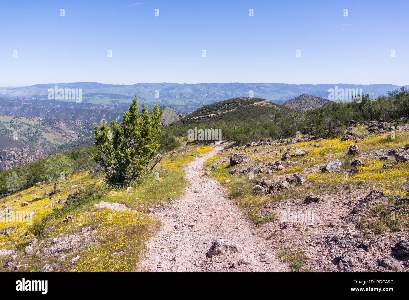 Trail Chalone North Peak, Hain Wüste Pinnacles National Park, Kalifornien Stockfoto