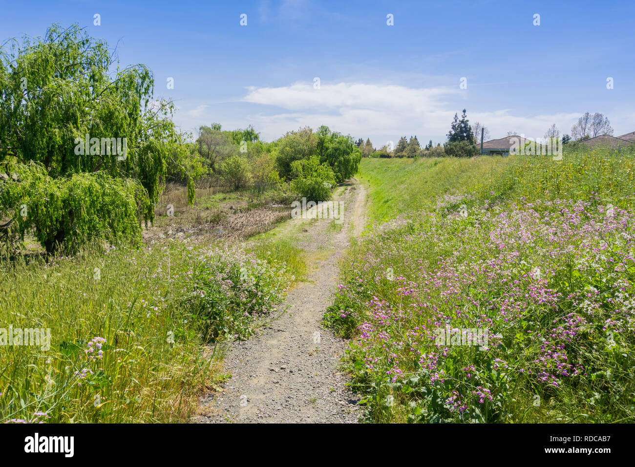 Wandern entlang der Guadalupe River Shoreline, Santa Clara, San Francisco Bay Area, Kalifornien Stockfoto