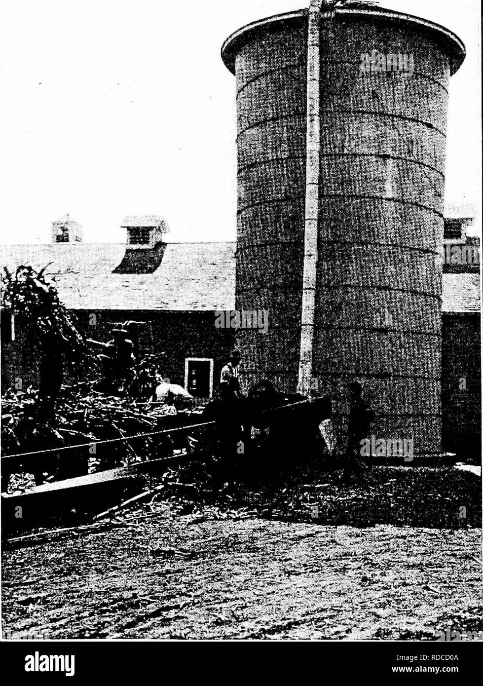 . Böden und Pflanzen in der Landwirtschaft. Landwirtschaft; Böden; Pflanzen. Entstehung UND ENTWICKLUNG VON SAATGUT 119. Mit freundlicher Genehmigung der Iowa State College. Abb. 40. - Füllen eines Silos.. Bitte beachten Sie, dass diese Bilder sind von der gescannten Seite Bilder, die digital für die Lesbarkeit verbessert haben mögen - Färbung und Aussehen dieser Abbildungen können nicht perfekt dem Original ähneln. extrahiert. Cunningham, Jules Cool, 1879 -; Lancelot, William Henry, 1874 -. New York: Macmillan Stockfoto