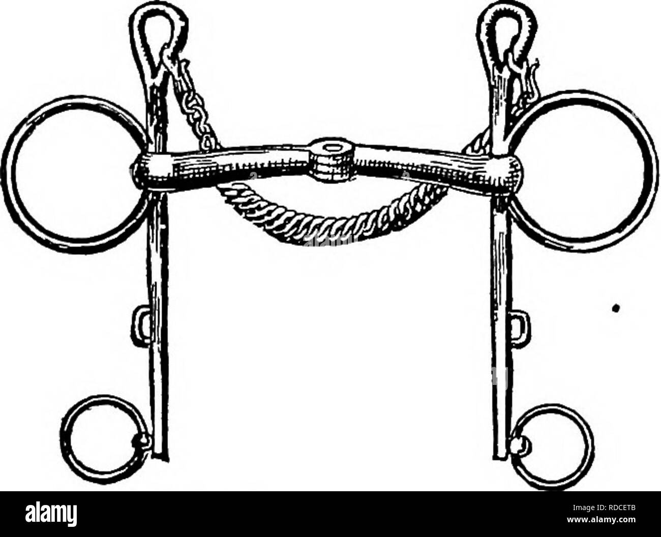 . Die Familie Pferd: seine Stallungen, Pflege und Fütterung: ein praktisches Handbuch für Pferd-keepers. Pferde. Abb. 54. - BAUCHER KANDARE BIT. tlie gemeinsame Trensen, wie in Abbildung 53 gezeigt. Es ist mit wachen sie aus in den Mund des Pferd gezogen werden zu halten. Die doppelgelenkwelle Trensen bit hat einen kurzen Link an Stelle einer einzigen gemeinsamen in der Mitte. Trensen Bits sind manchmal von Twisted-Pair Kabel gemacht, aber sie sind schwerwiegend, und schneiden Sie die Öffnung. Die Kandare Bit, wie in Abbildung 54 gezeigt wird, hat eine Biegung in der Mitte, genannt der Hafen, der durch die Aktion der Zügel, bis gedrückt wird - Abwehr gegen die empfindlichen Bars im Dach o Stockfoto
