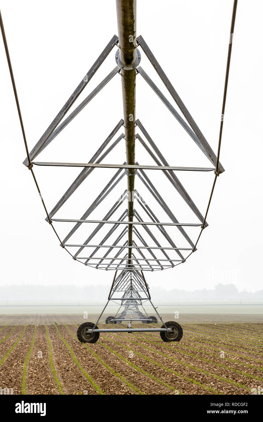 Ansicht von Unten Der drehmittelpunkt Bewässerungssystem in einem Jungen Feld von Mais in der französischen Landschaft von einem nebligen Frühling Morgen. Stockfoto
