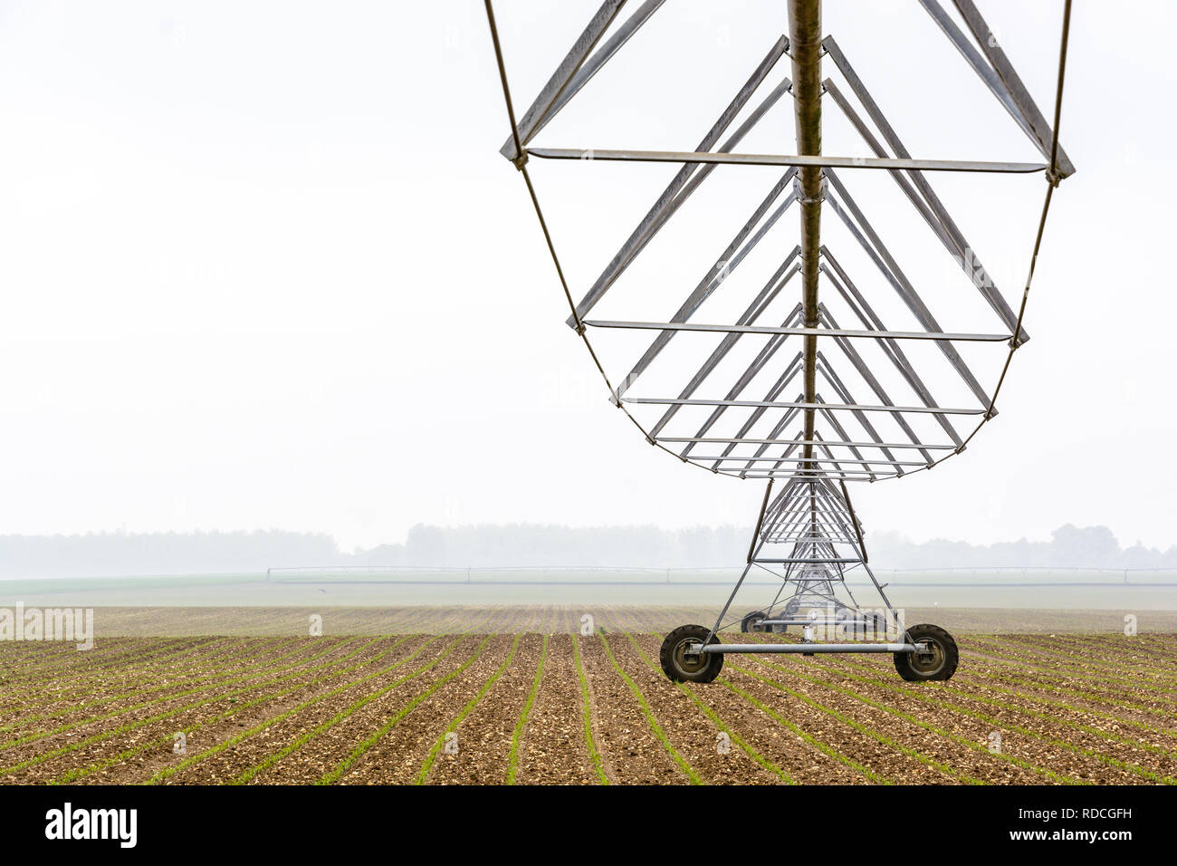 Ansicht von Unten Der drehmittelpunkt Bewässerungssystem in einem Jungen Feld von Mais in der französischen Landschaft von einem nebligen Frühling Morgen. Stockfoto