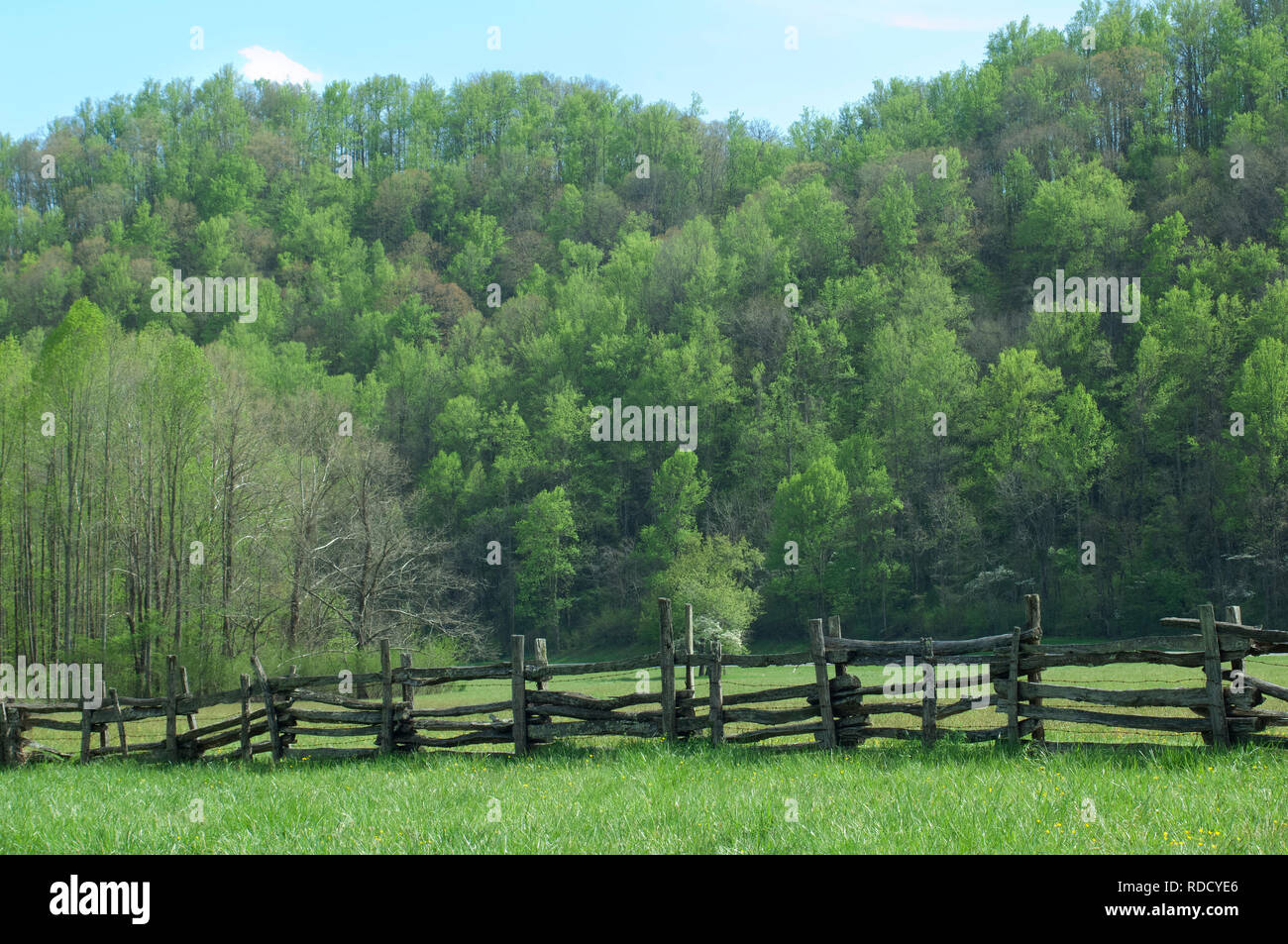 Split-Schiene Zaun, Great Smoky Mountains National Park, Grenze von NC und TN. Digitale Fotografie Stockfoto