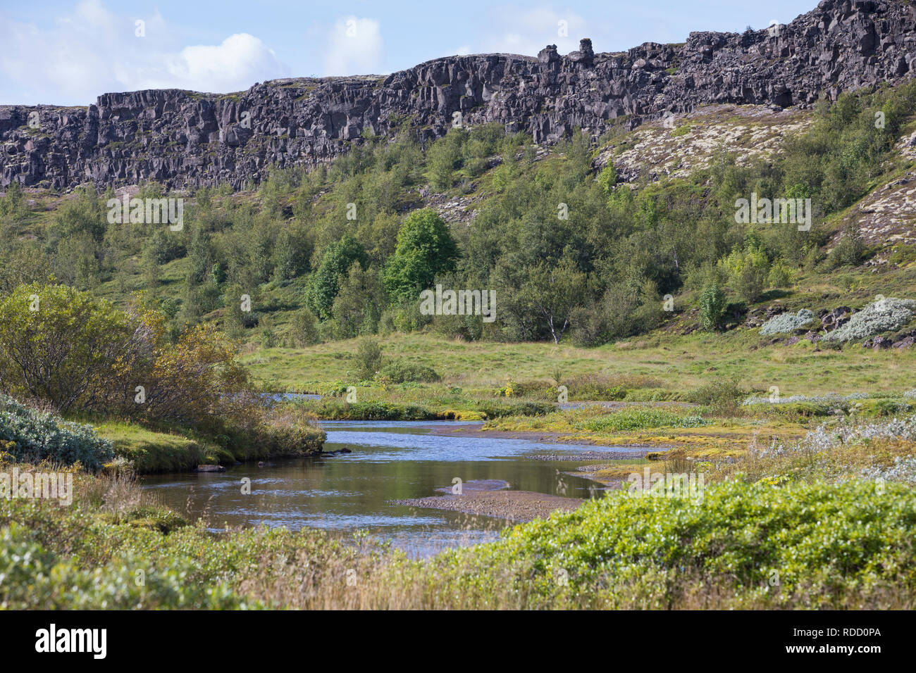 Almannagjá, Almannagja, Allmännerschlucht, Allmänner-Schlucht, Schlucht im Nationalpark Þingvellir, Þingvellir, Pingvellir, Thingvellir, Þingvellir-Na Stockfoto