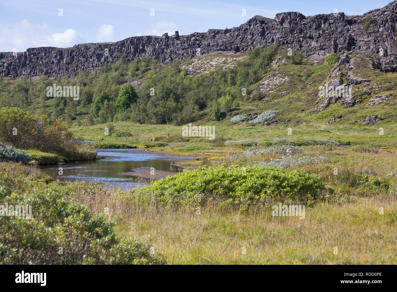 Almannagjá, Almannagja, Allmännerschlucht, Allmänner-Schlucht, Schlucht im Nationalpark Þingvellir, Þingvellir, Pingvellir, Thingvellir, Þingvellir-Na Stockfoto