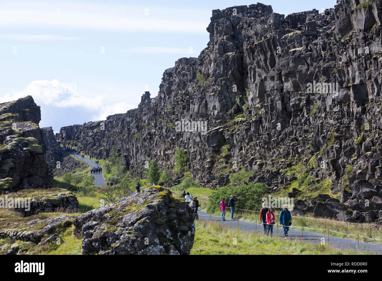 Almannagjá, Almannagja, Allmännerschlucht, Allmänner-Schlucht, Schlucht im Nationalpark Þingvellir, Þingvellir, Pingvellir, Thingvellir, Þingvellir-Na Stockfoto