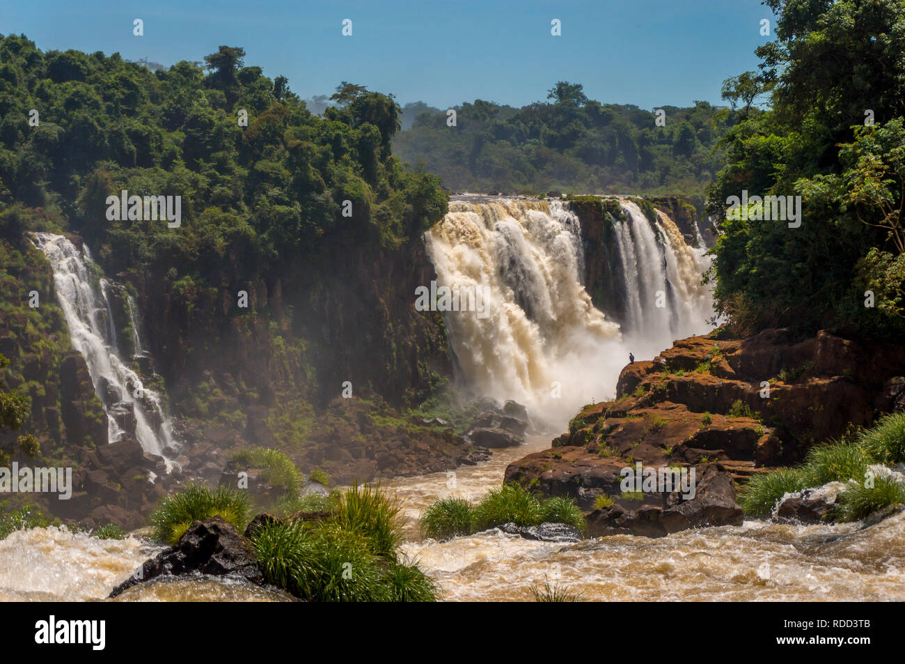 Wasserfälle entlang der Iguacu Fluss Iguazu Wasserfälle, Brasilien Stockfoto