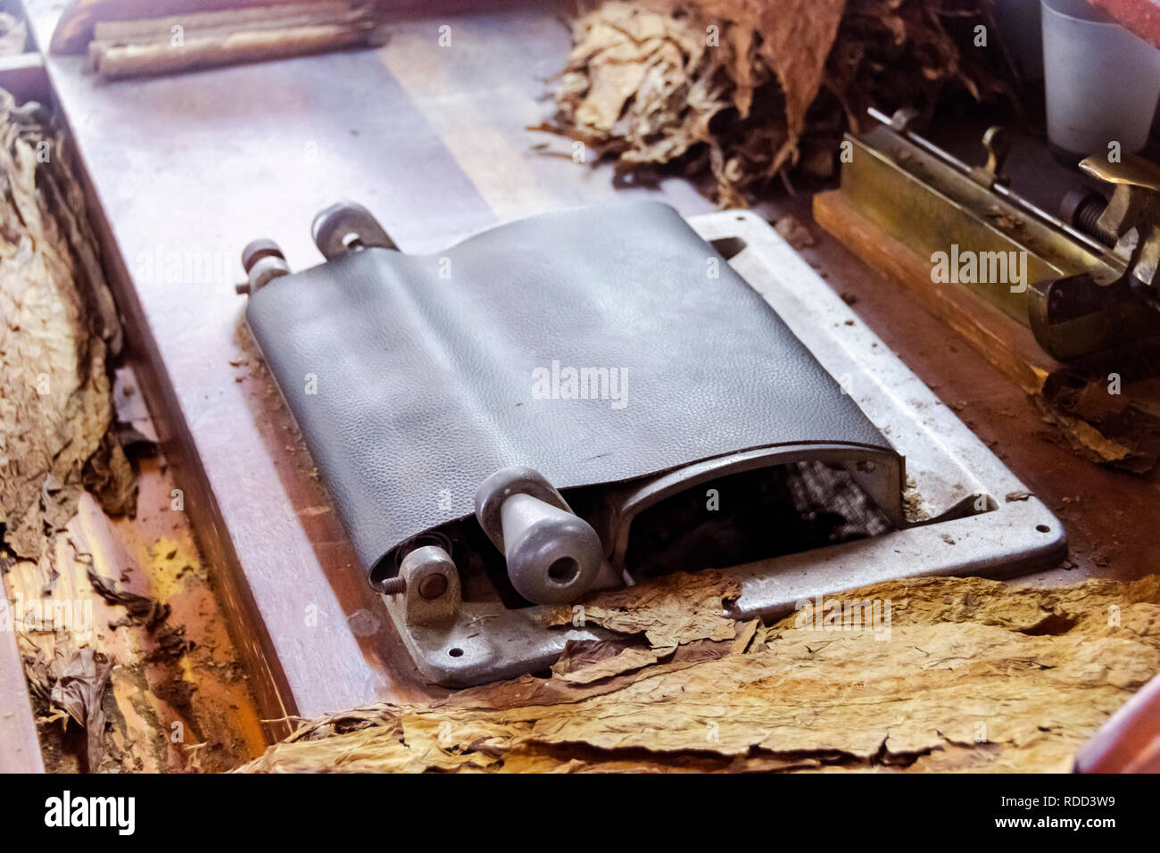 Eine Zigarre rollt die Maschine in eine Zigarrenfabrik. Traditionelle Herstellung von Zigarren in die Tabakfabrik. Eine Zigarre aus Tabakblättern Stockfoto