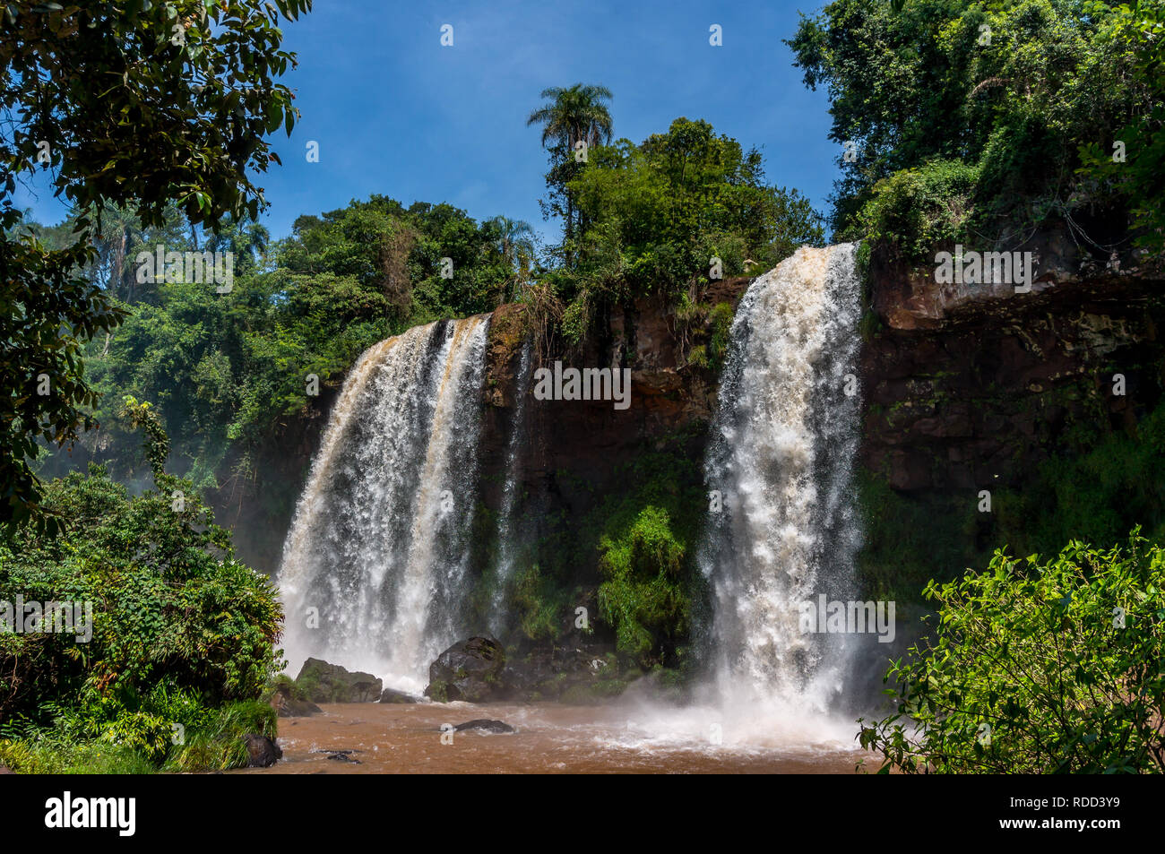 Zwei Wasserfälle, die sich in einem tropischen Regenwald, die Iguazu Wasserfälle, Argentinischen Seite Stockfoto