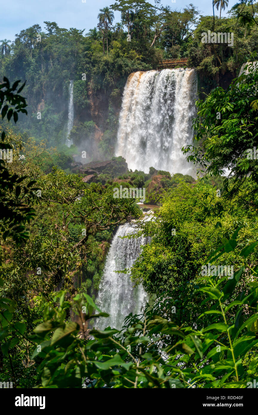 Wasserfälle von Iguazu Wasserfälle, durch Vegetation gesehen, Argentinischen Seite Stockfoto