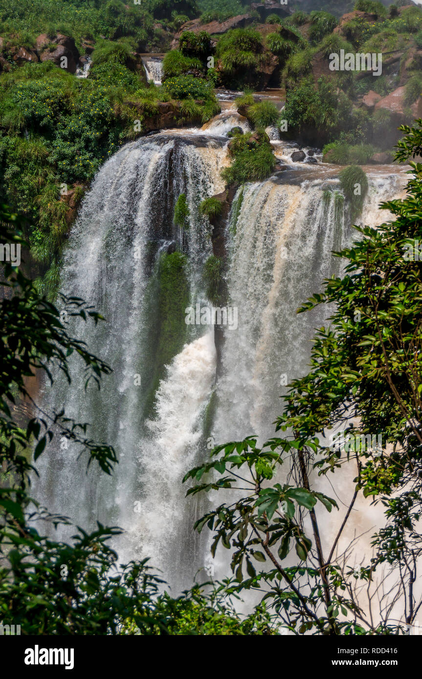 Wasserfälle von Iguazu Wasserfälle, durch Vegetation gesehen, Argentinischen Seite Stockfoto