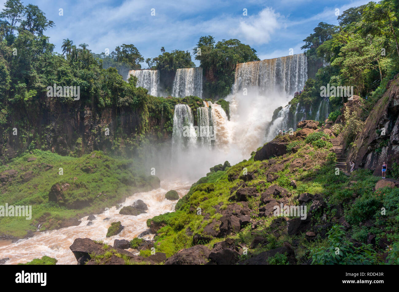 Tropische Landschaft Blick auf Wasserfälle, die Iguazu Wasserfälle, Argentinischen Seite Stockfoto