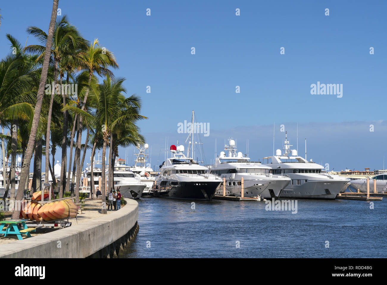 21. Dezember 2018 - Palm Beach, Florida, USA. Luxuriöse und moderne Yachten angedockt in der Marine, von Palmen umgeben. Stockfoto