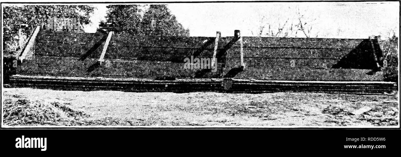 . Pflanzliches: Gewächshaus und Gärtnerei Praxis. Pflanzenvermehrung. J I 8 ANLAGE I "KOl'AGATION 170. Evergreen reifen holz stecklinge, ESI) ccially des Konus-Lager lilants (Arbor vit; e, Wacholder und retinospora) fallen unter die Abdeckung im Sand entweder in einem kühlen Gewächshaus oder eine andere Abdeckung gepflanzt. Sie nehmen in der Regel root langsam, manchmal auch ein ganzes Jahr (Eibe, Wacholder), aber Grün weiter, wenn sie richtig beschattet und gewässert. Nach wühlen Sie in den Wohnungen bis in der folgenden Saison für Out-of-Tür Pflanzen bleiben kann oder versenkt werden. Die Stecklinge, in der Regel vier oder fünf Zoll lang, sind stets von wel gemacht Stockfoto