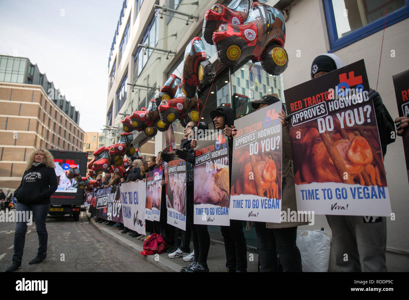 London, Großbritannien. 18. Jan 2019. Vegan Aktivisten protestieren roten Traktoren Praktiken in London: George Cracknell Wright/Alamy leben Nachrichten Stockfoto