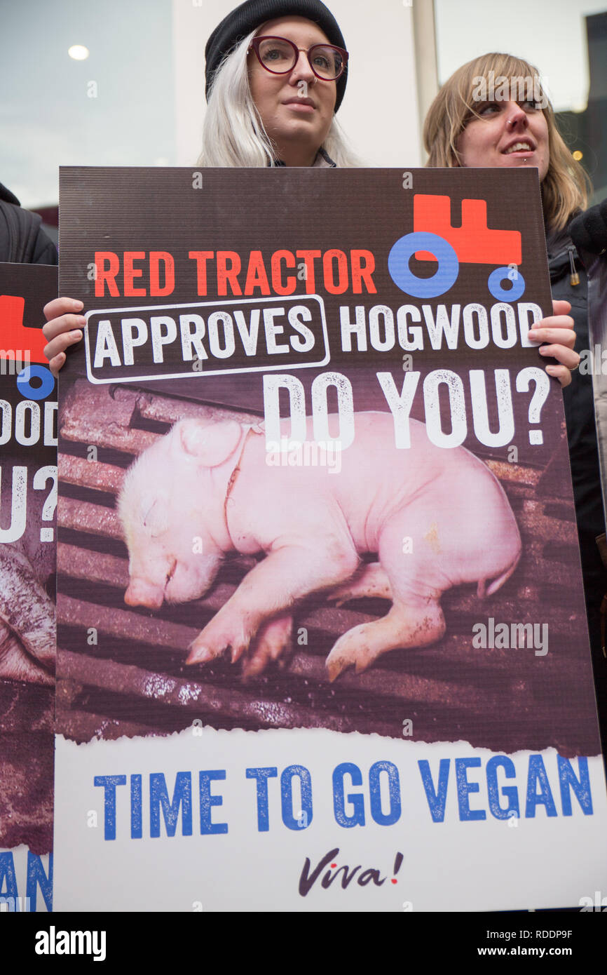 London, Großbritannien. 18. Jan 2019. Vegan Aktivisten protestieren roten Traktoren Praktiken in London: George Cracknell Wright/Alamy leben Nachrichten Stockfoto