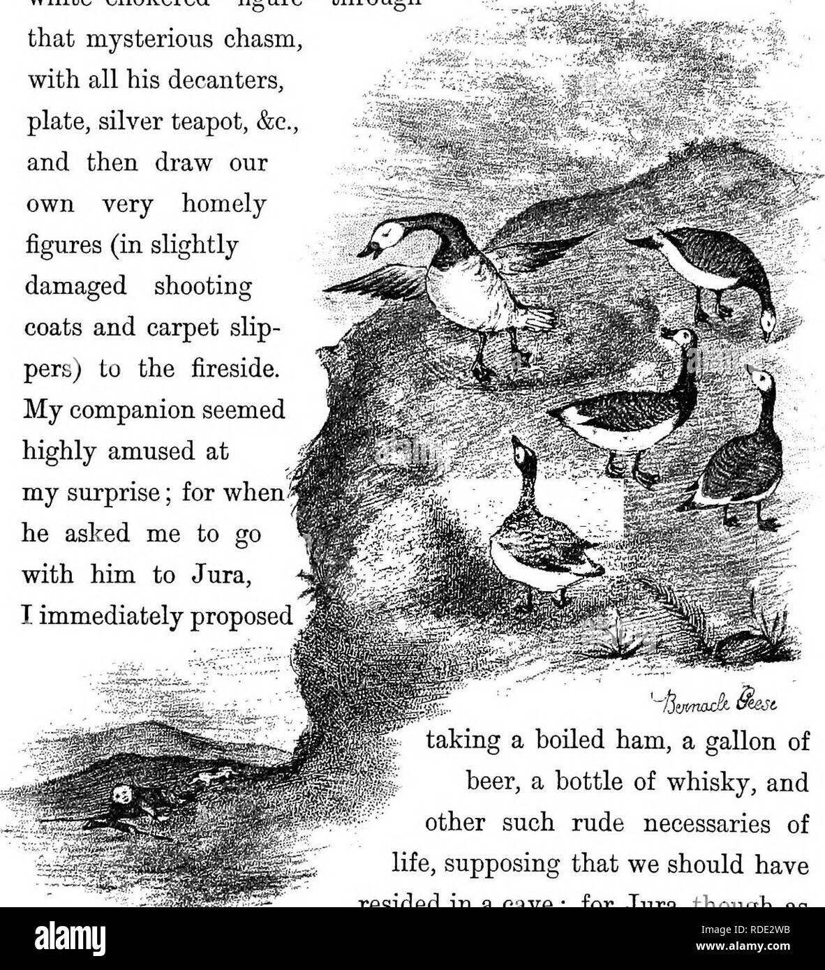 . Die Vögel von Iona & Amp; Mull. Vögel. Schreiben XXIII. 163 Filz Tür wurde eine perfekte Herr Dobbler Magic hat; und es war eine Erleichterung, endlich dauerhaft "Laien" Herr Dougald Bishop's, Schwarz, Weiß - vestured chokered Abbildung durch die geheimnisvolle Abgrund, mit all seinen Dekanter, Platte, silberne Teekanne, &Amp; c. und dann unser eigenes, sehr gemütliche zeichnen Zahlen (in leicht beschädigte schießen Mäntel und Teppich slip-Pers) an den Kamin. Mein Begleiter schien sehr zu meiner Überraschung amüsiert; denn als er mich bat, mit ihm zu Jura zu gehen, habe ich sofort vorgeschlagenen takmg einem gekochten Schinken, eine Gallone Bier, ein bottl Stockfoto