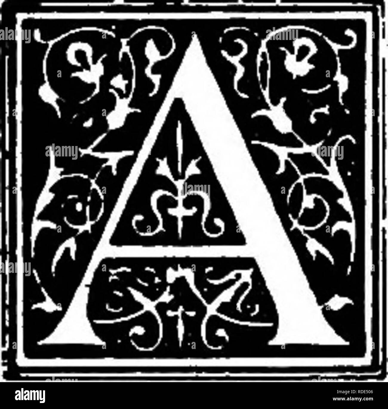 Der Hund Buch Eine Populare Geschichte Des Hundes Mit