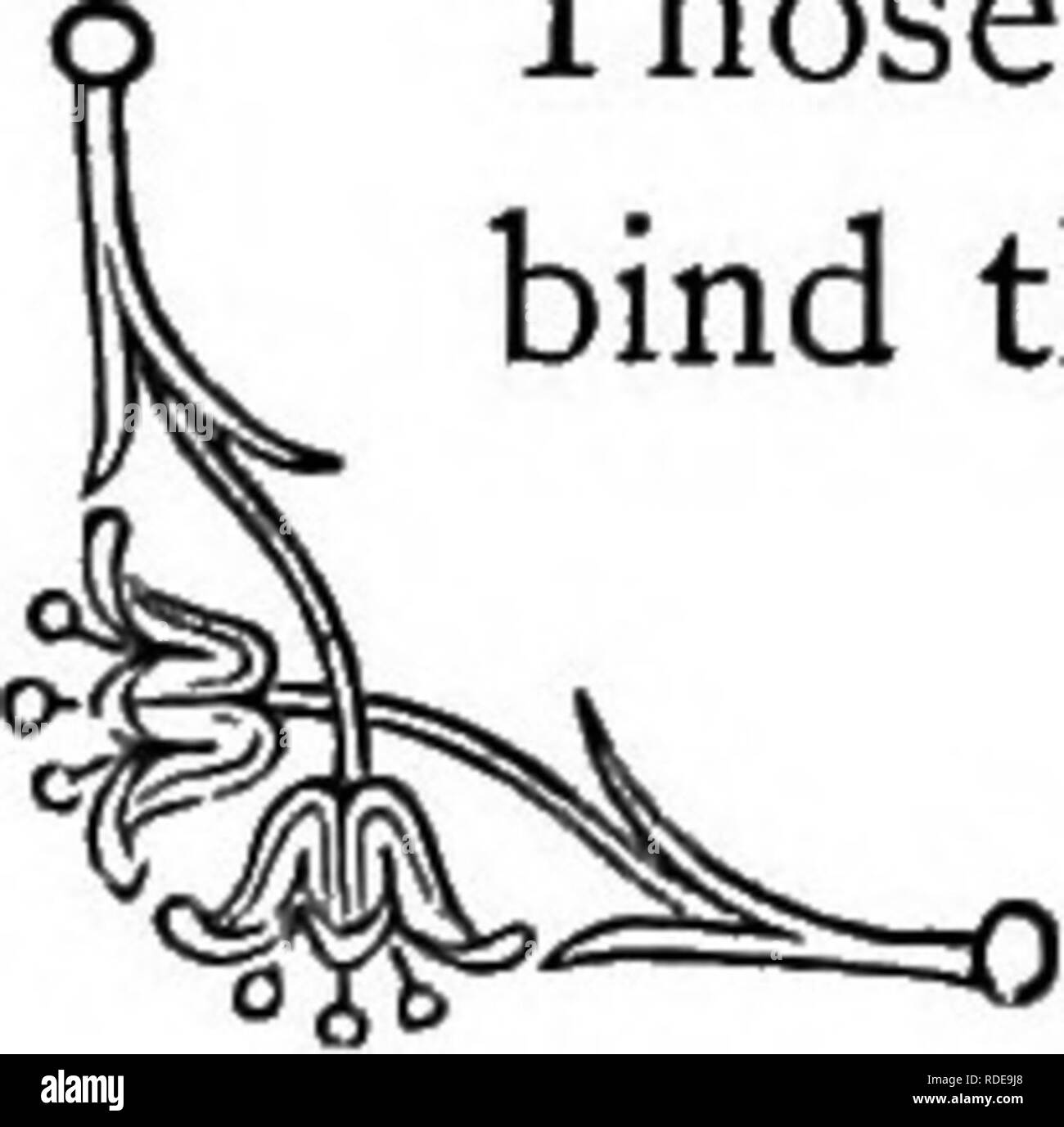 . Die Sprache der Blumen: oder, Floral Embleme von Gedanken, Gefühlen und Empfindungen... Blume Sprache. Das GEISSBLATT. Das GEISSBLATT (Caprifolium Periclymenuvi). - Bande der Liebe. Erinnerungen an die Kindheit werden hauptsächlich mit angenehmen Ereignissen verbunden: Damit die Szenen Mitte, die unsere goldenen Zeitalter verabschiedet wurde immer rund um unsere Herzen durch die kühnsten Bezug gebunden. Wandern, wo wir über die weite Welt, wie viele neue Bindungen, wie wir können, bindet die Liebsten, die das menschliche Herz begreifen kann, durch Zeiten der reichsten Freude, dass wir in der Lage zu sein, das Gefühl ist, es Stockfoto