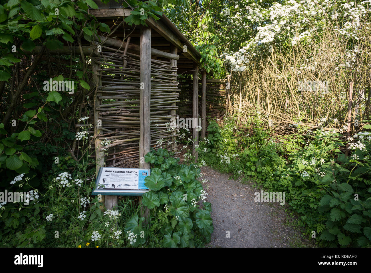 Tyland Scheune Nature Reserve in der Nähe von Maidstone in Kent Stockfoto