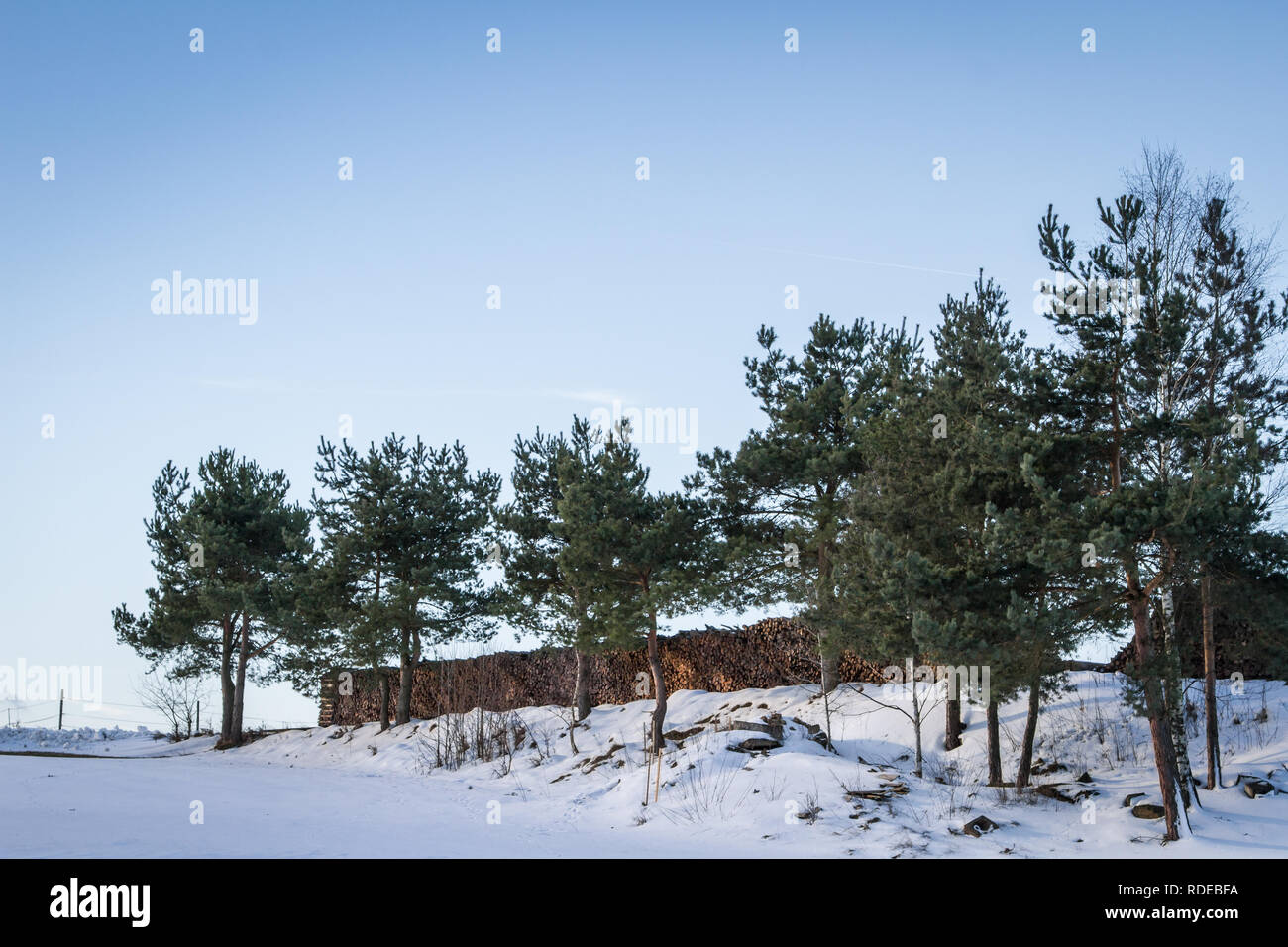 Waldviertel, Wandern im Schnee an einem sonnigen Tag Stockfoto