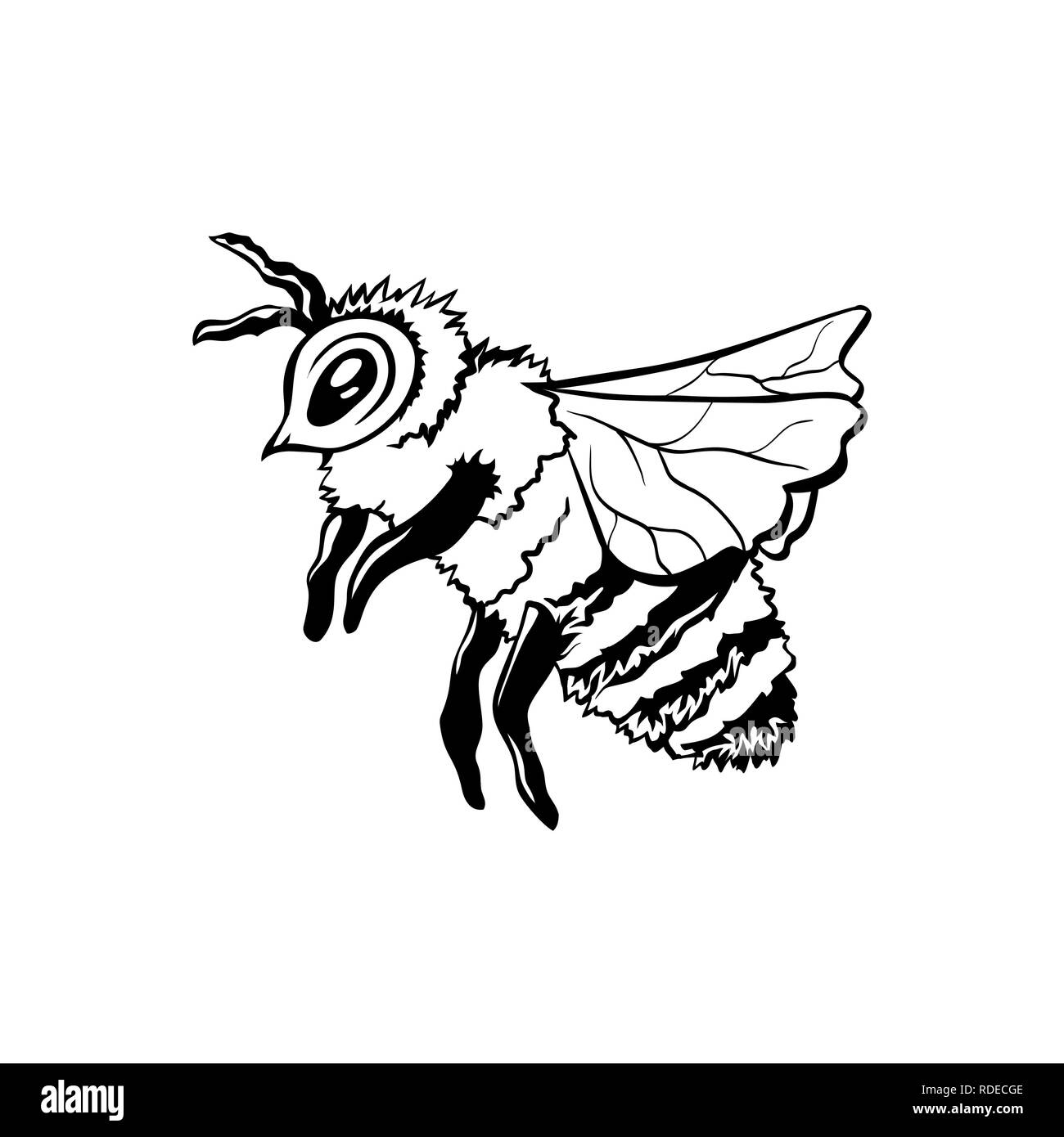 Honey Bee, Outline Logo Design. Isolierte Vektor. Schwarz graviert Element. Vintage Style Abbildung: Flying Wasp Stock Vektor