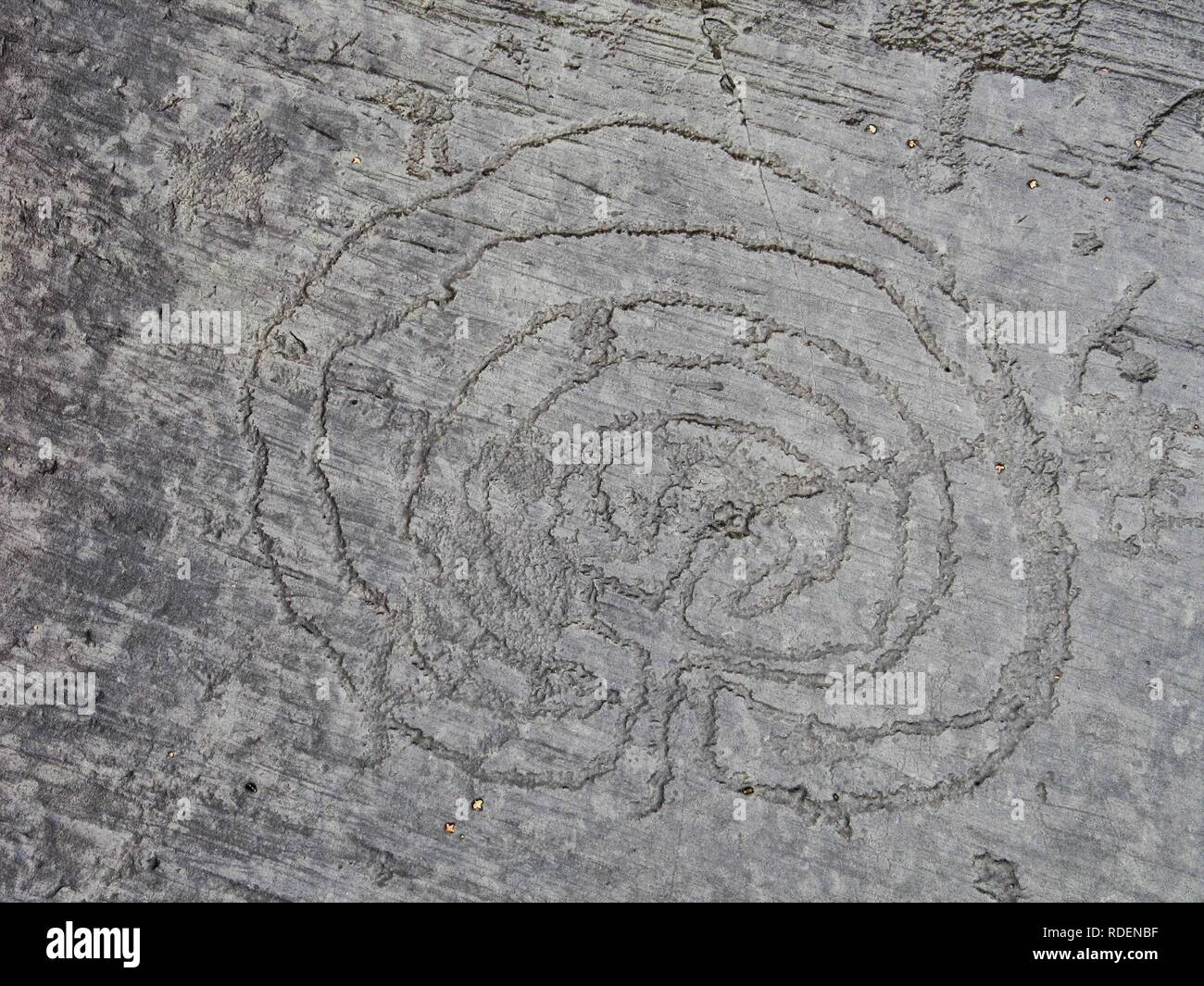 Rock Zeichnungen, die 'Labyrinth', Val Camonica, Italien, Lombardei, Provinz Brescia, Camonica Tal, Capo di Ponte, UNESCO Weltkulturerbe Stockfoto