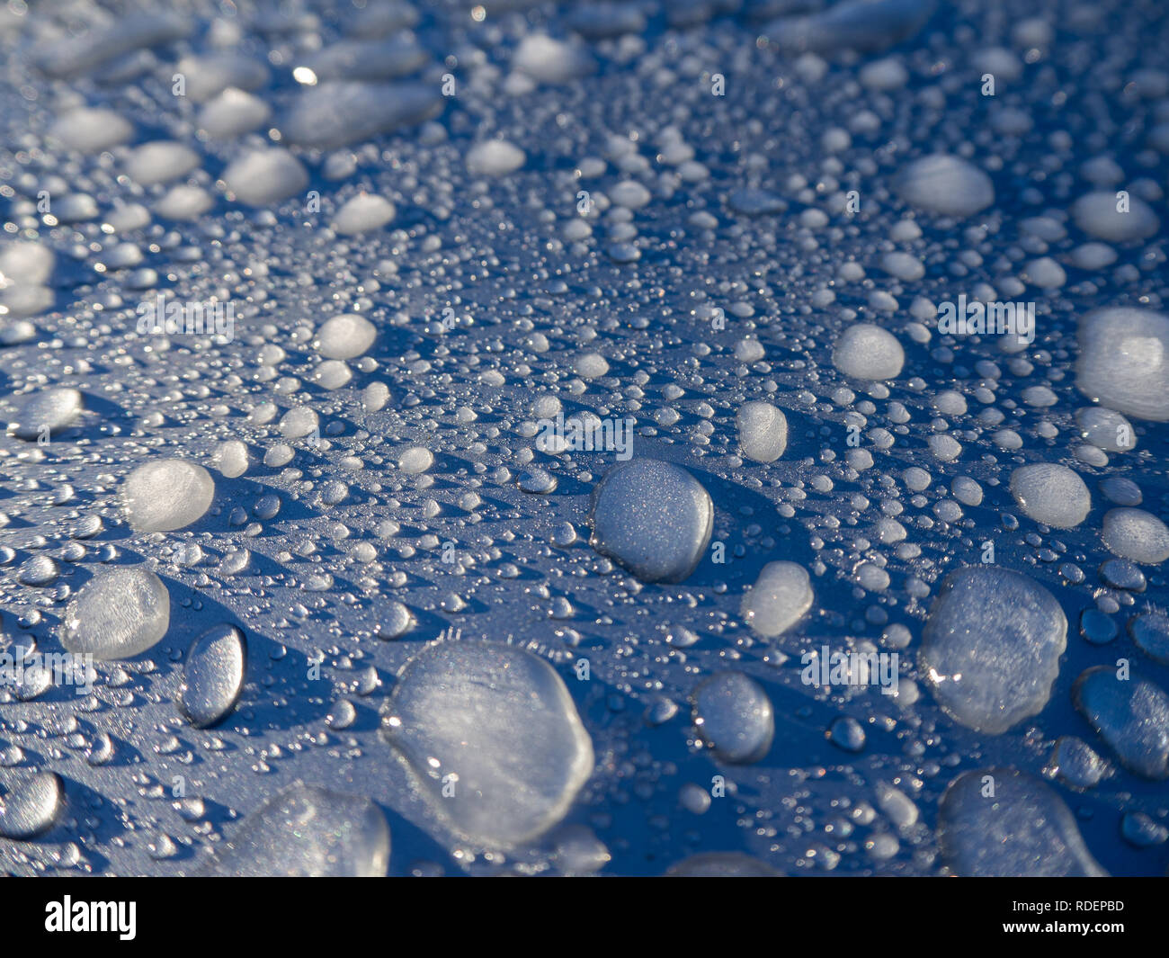 Gefrorene Wassertropfen auf einem kalten Morgen. Abstrakt Blau Hintergrund Stockfoto