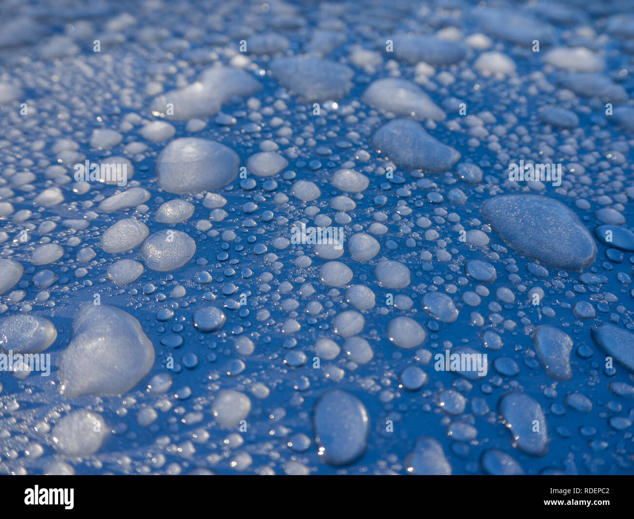 Gefrorene Wassertropfen auf einem kalten Morgen. Abstrakt Blau Hintergrund Stockfoto