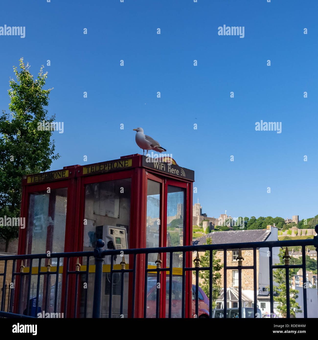 DOVER, Großbritannien - 30.Juni, 2018: Seagull sitzt auf einem roten Britischen Telefonzelle Stockfoto