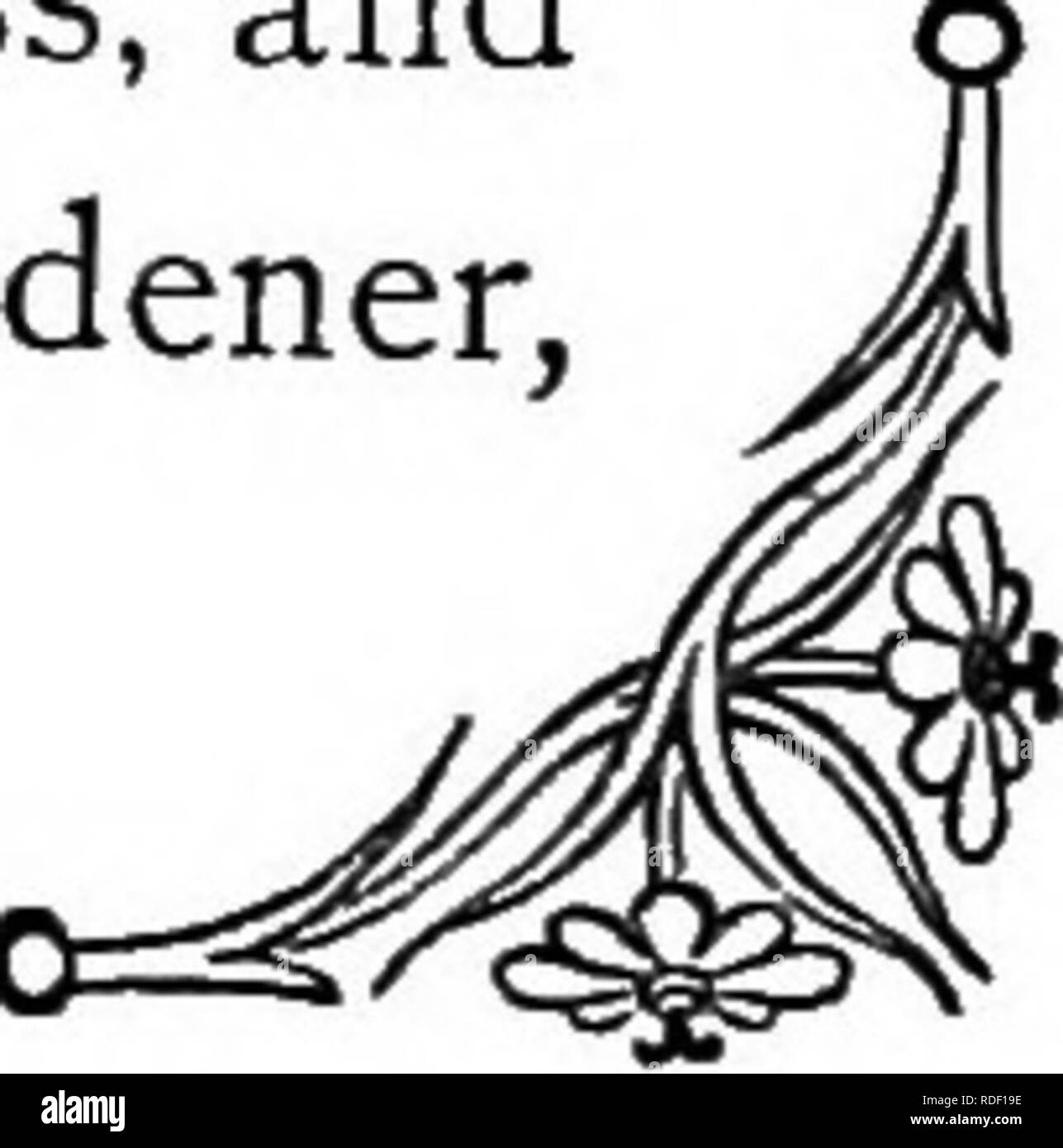 . Die Sprache der Blumen: oder, Floral Embleme von Gedanken, Gefühlen und Empfindungen... Blume Sprache. Die ROSA. Apple (fir-Kegel) der Pinie, Skulpturen in eine feste Masse aus hellem Gold. Es ist so wunderschön, dass es vielleicht scheint hergestellt werden, um das Auge zu erfreuen, so köstlich, dass man Lust in sich vereint die Süße und den Reichtum aller anderen Früchte und so wohlriechend, dass wir induziert werden könnte es nur für seine Parfums zu kultivieren. Die ROSA (Dianthusprolifer). - Lebhaft und reinen Zuneigung. "Die Rosa kann niemand recht gering, Lieblingsblume des Gärtners; er legt es nun unter der Li Stockfoto