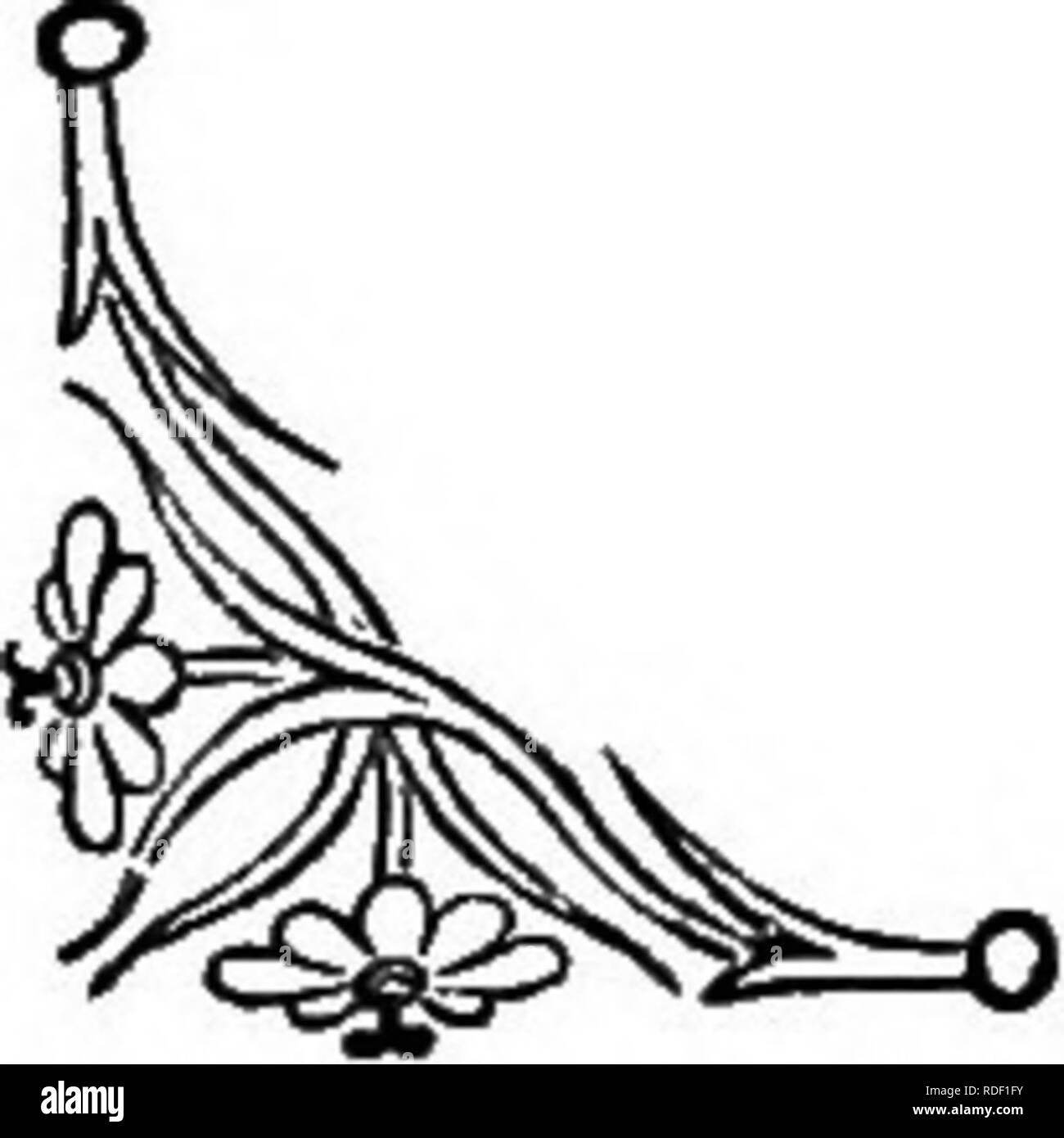 . Die Sprache der Blumen: oder, Floral Embleme von Gedanken, Gefühlen und Empfindungen... Blume Sprache. Der Eiche. Die EICHE {Quercuspedunculatd). - Gastfreundschaft. "Eine große Eiche, streckte seine grünen Waffen aus einem angrenzenden Weide, fliegenden kleinen Raum des grünen Kirchhof mit einem leichten und angenehmen Markise. Auf den moosigen Mauer meinen alten Freund und ich zusammen nahm unsere Sitze." WORDSWORTH. Die früheren Bewohner der Erde gedacht, dass die Eiche, mit der Erde geschaffen hat, suppHed auf die erste unserer Rasse sowohl Nahrung und Schutz. Heilige zu Jupiter, dieser Baum Schatten gab, in die Wiege des Stockfoto