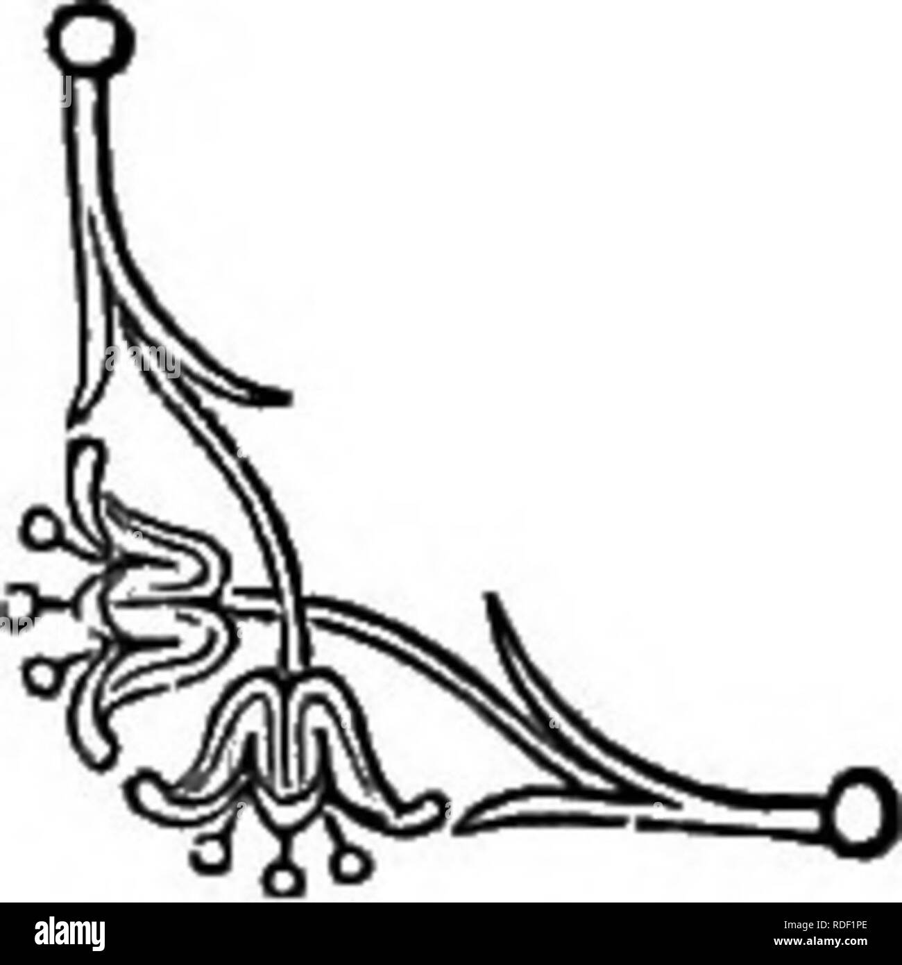 . Die Sprache der Blumen: oder, Floral Embleme von Gedanken, Gefühlen und Empfindungen... Blume Sprache. Die MANDRAKE. mal Er freut sich Ihre gewelltes Haar der Schleier, Bilder aus der Beobachtung der Höhle, in der sich der Einsame naiad schläft aus der frühesten Periode; bei anderen trägt er sie auf seine Flügel und macht Sie strahlende Sterne grün in der türmchen von einer alten Burg, oder ordnet sie als Licht Girlanden, und schmückt mit Ihnen die coolen Resorts und liebte Schattierungen von Hirten zu machen. Somit ist dieser Farn setzt Naturwissenschaften an der Störung, und blendet Ihr Geheimnis Ursprung aus den Augen der meisten sichern - Trating Stockfoto