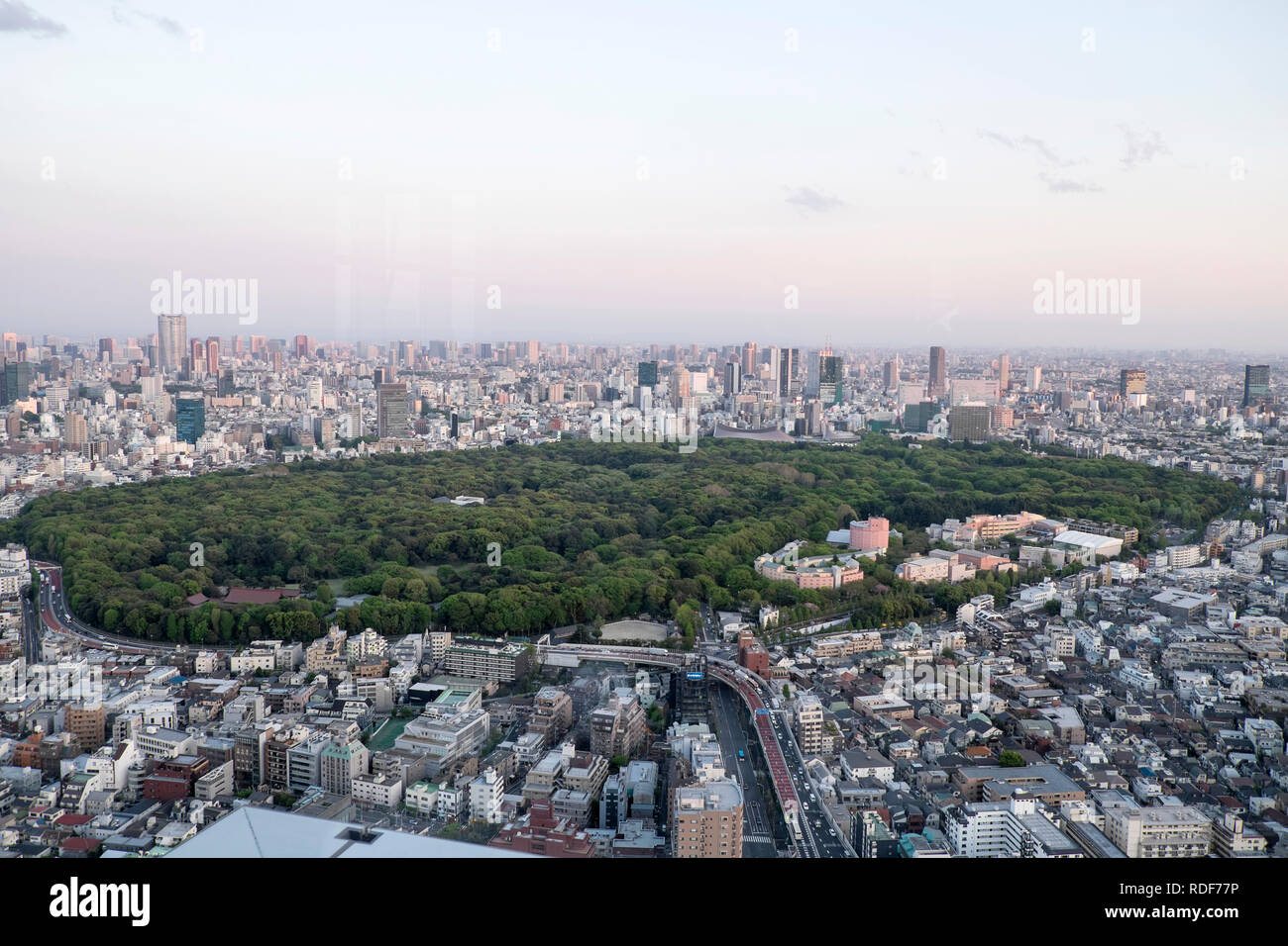 Japan, Insel Honshu, Tokio: Shinjuku Gyoen National Garten und Gebäude im Stadtteil Shinjuku *** Local Caption *** Stockfoto