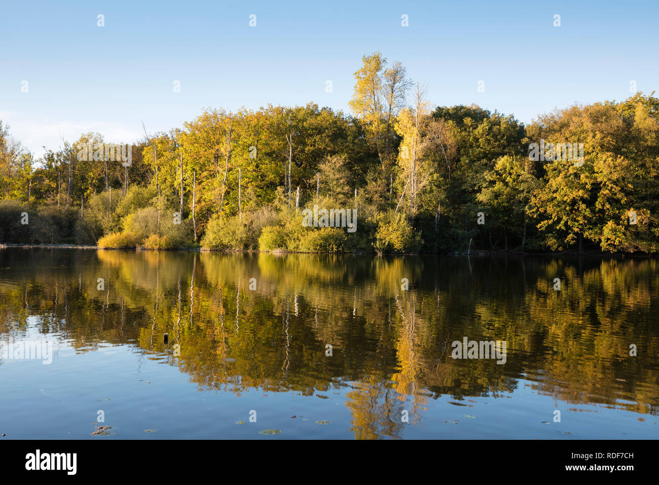 Naturschutzgebiet Beversee See, Bergkamen, Ruhrgebiet, Nordrhein-Westfalen, Deutschland, Europa Stockfoto
