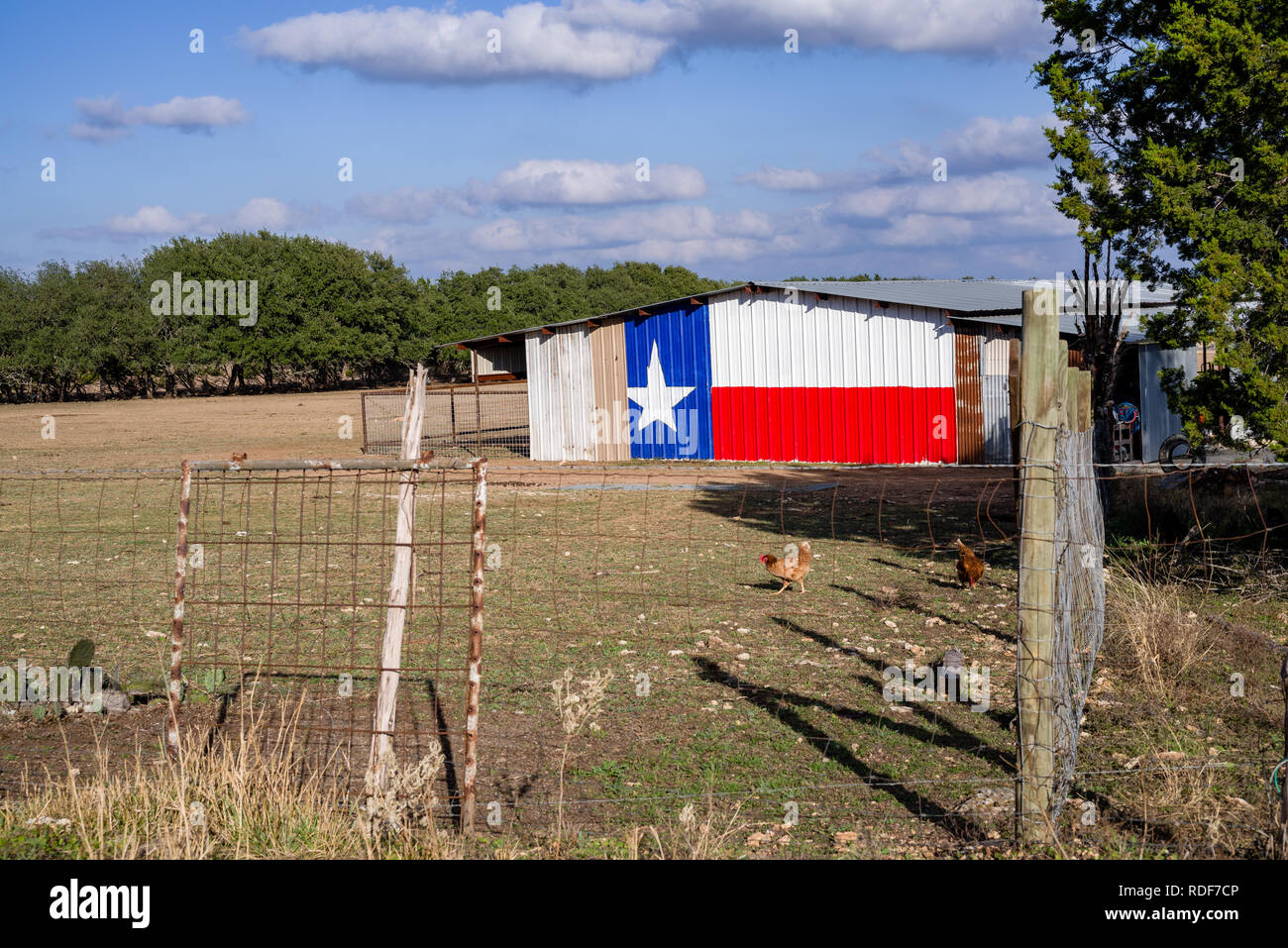 Texas Lone Star Flag auf dem Bauernhof utility Schuppen mit eingezäunten Hühner gemalt. Stockfoto