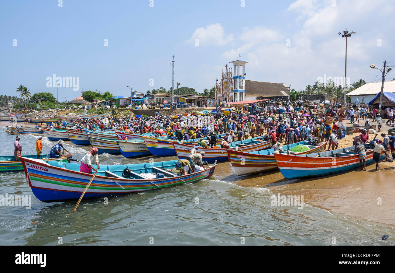 Vizhinjam Beach Fischmarkt, in der Nähe von Kovalam, Kerala, Indien Stockfoto