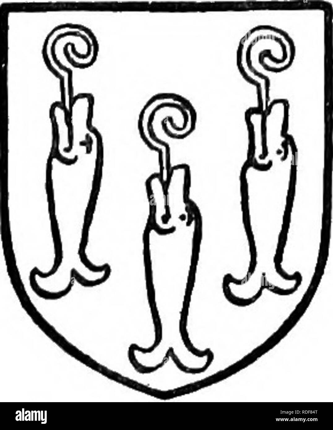 . Die Victoria Geschichte der Grafschaft von Lancaster;. Natural History. 100 BLACKBURN BLACKBURN der erste Ehemann der Frau von Avice Billington, und der durch eine frühere Ehe Richard Sohn des gleichen Henry del Cho, aber es ist klar, dass mehrere kleine Stände, die von diesen drei Personen und durch den Gefreunden gegeben wurden, Beatrice de Blakeburn", die zu der Zeit ihrer Ehe mit Richard, der Sohn des Johannes de Pontchardon im Jahr 1280, weit fortgeschritten in Jahren, Belehnte ihr Schwiegervater von einem halben Dutzend hier Mietskasernen zusammen mit Ländern von ihren eigenen Erbe im Wiswell und Blackburn mit Blick auf Stockfoto