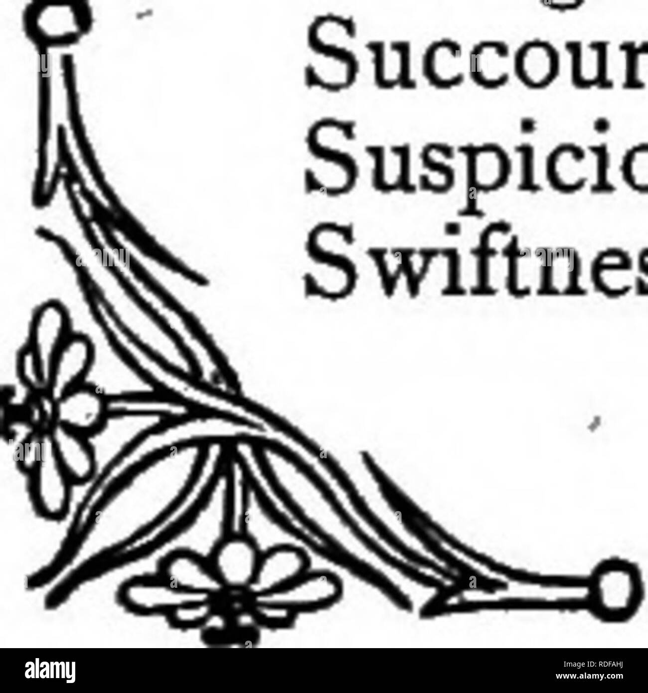 . Die Sprache der Blumen: oder, Floral Embleme von Gedanken, Gefühlen und Empfindungen... Blume Sprache. INDEX DER Empfindungen. Seite Höflichkeit Blumenstrauß 35 Power Crown Imperial 63 Präferenz Apple Blossom 15 Präferenz mit Rosenduft Geranium 179 Deuten kleine Kap Ringelblume 185 Vermutung. Snapdragon 186 Vorspannung Queller 97 Stolz Amaryllis 13 Gewinn Kohl 45 Verbot Liguster 168 Promptheit Zehn^ Woche Lager 197 Wohlstand Buche 24 Klugheit Service Baum 184 Reinheit der Stern von Bethlehem igi Rarität Mandrake 133 Bereitschaft rot Baldrian 170 Grund. Â. Ziegenkäse Rue 98 Versöhnung Hazel 1. Stockfoto