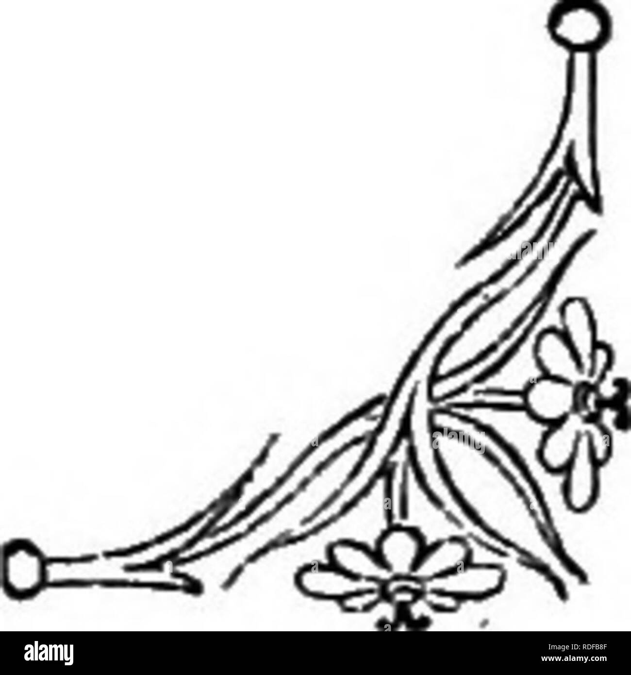 . Die Sprache der Blumen: oder, Floral Embleme von Gedanken, Gefühlen und Empfindungen... Blume Sprache. . Bitte beachten Sie, dass diese Bilder sind von der gescannten Seite Bilder, die digital für die Lesbarkeit verbessert haben mögen - Färbung und Aussehen dieser Abbildungen können nicht perfekt dem Original ähneln. extrahiert. Tyas, Robert, 1811-1879. London, New York, G. Routledge und Söhne Stockfoto