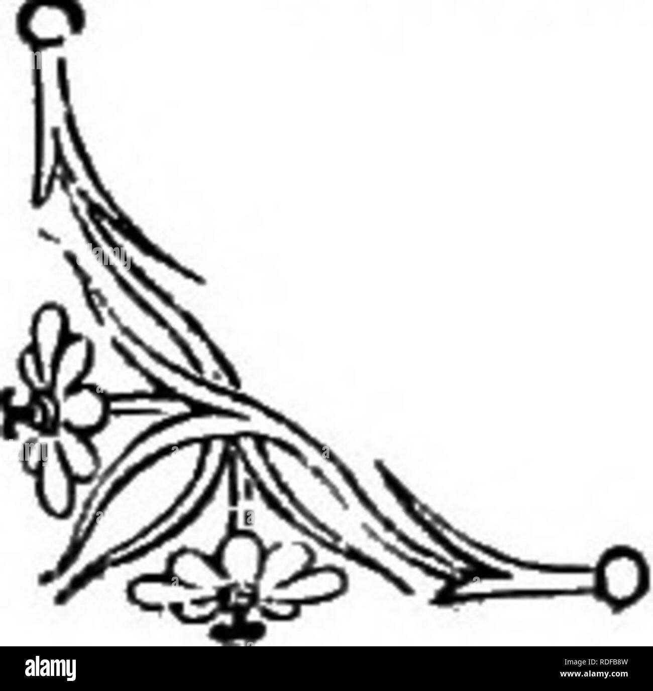 . Die Sprache der Blumen: oder, Floral Embleme von Gedanken, Gefühlen und Empfindungen... Blume Sprache. Die ROSE AKAZIE. a Die gleichen Schriftsteller in seiner irischen Melodien, gibt eine andere Aussage: "Sie sagen uns, dass - Liebe in seinem fairy Bower, hatte zwei Erröten Rosen, der Geburt göttlich; er sprengte das mit einem Regenbogen Dusche, sondern den Anderen mit der helmdecke Wein. Bald tat die Knospen, die Trank der Überschwemmungen von der Regenbogen, Niedergang und Verblassen, während diejenigen, die mit der Flut von Ruby gefärbt hatte Alle in Schönheit errötete, wie Dir, süße Maid!" DIE ROSE AKAZIE {Robinie hispidd).-Y-UKGh^ QY.. Stockfoto