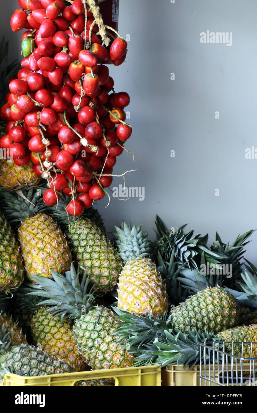 Der offene Markt frisches Obst zum Verkauf. Stockfoto