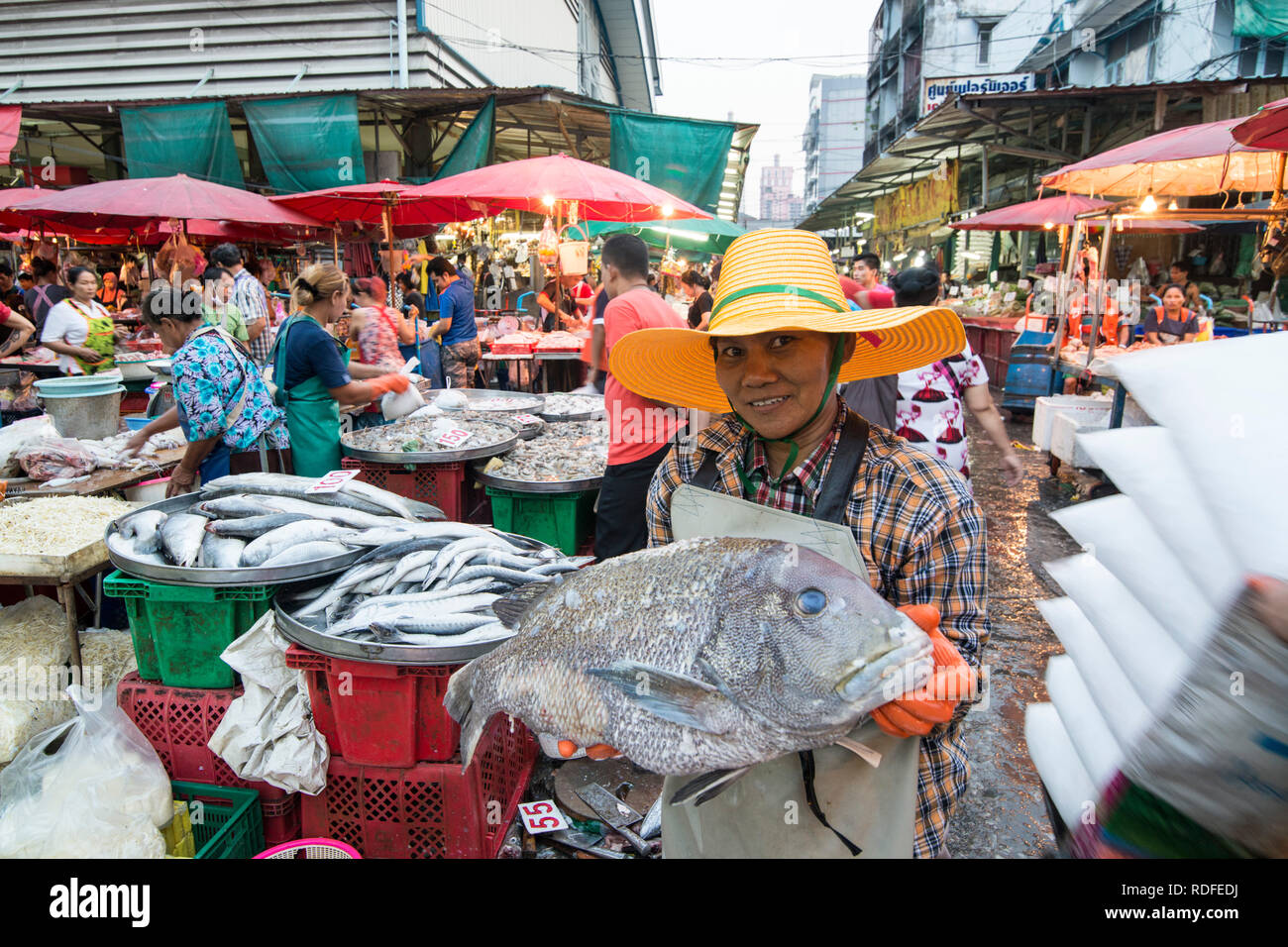 Der Fischmarkt am Lebensmittelmarkt an der Khlong Toey Marktes in Khlong Toey in Bangkok in Thailand in Südostasien. Thailand, Bangkok, N Stockfoto