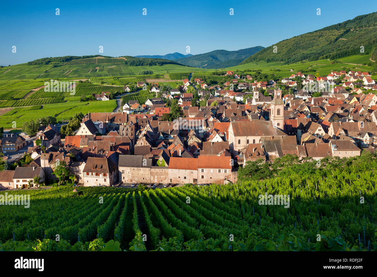 Am frühen Morgen mit Blick auf Eglise Evangelischen und mittelalterlichen Dorf Riquewihr, entlang der Weinstraße, Elsass, Haut-Rhin, Frankreich Stockfoto