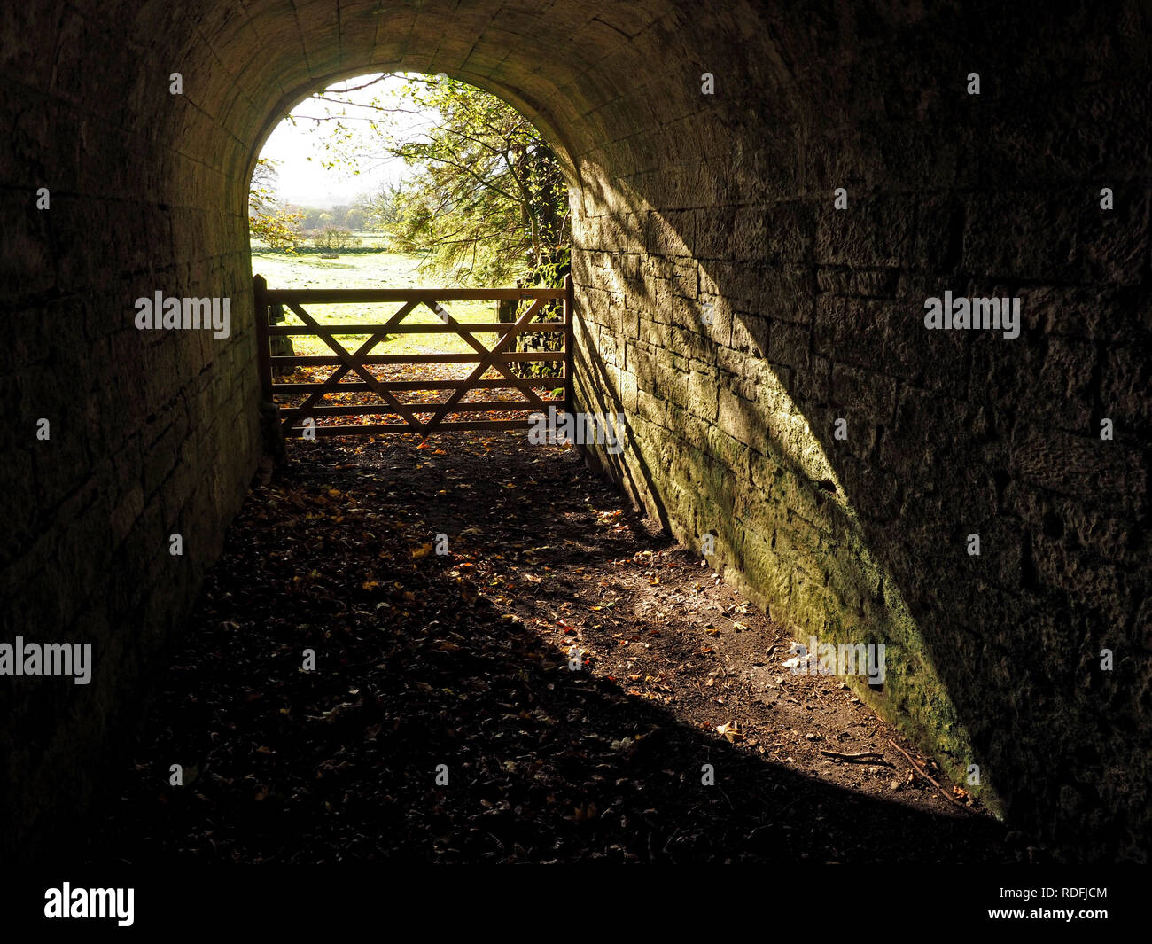 Goldener Herbst Sonne Filter durch den steinernen Torbogen mit Laub erstellen grünen Leuchten & Punktbeleuchtung Laub an der Wall in Cumbria, England, Großbritannien Stockfoto