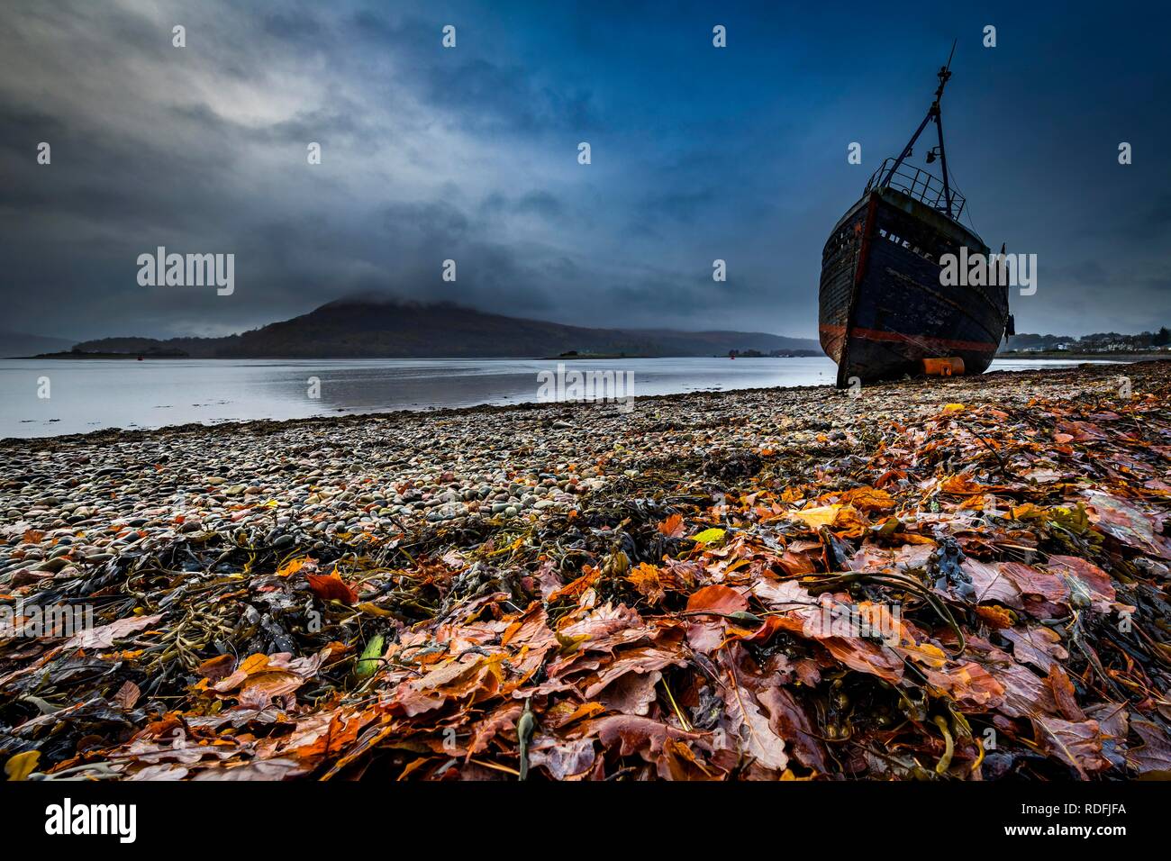 Schiffswrack am Loch Eil mit farbigen Blättern im Vordergrund, Fort William, West Highlands, Schottland, Vereinigtes Königreich Stockfoto